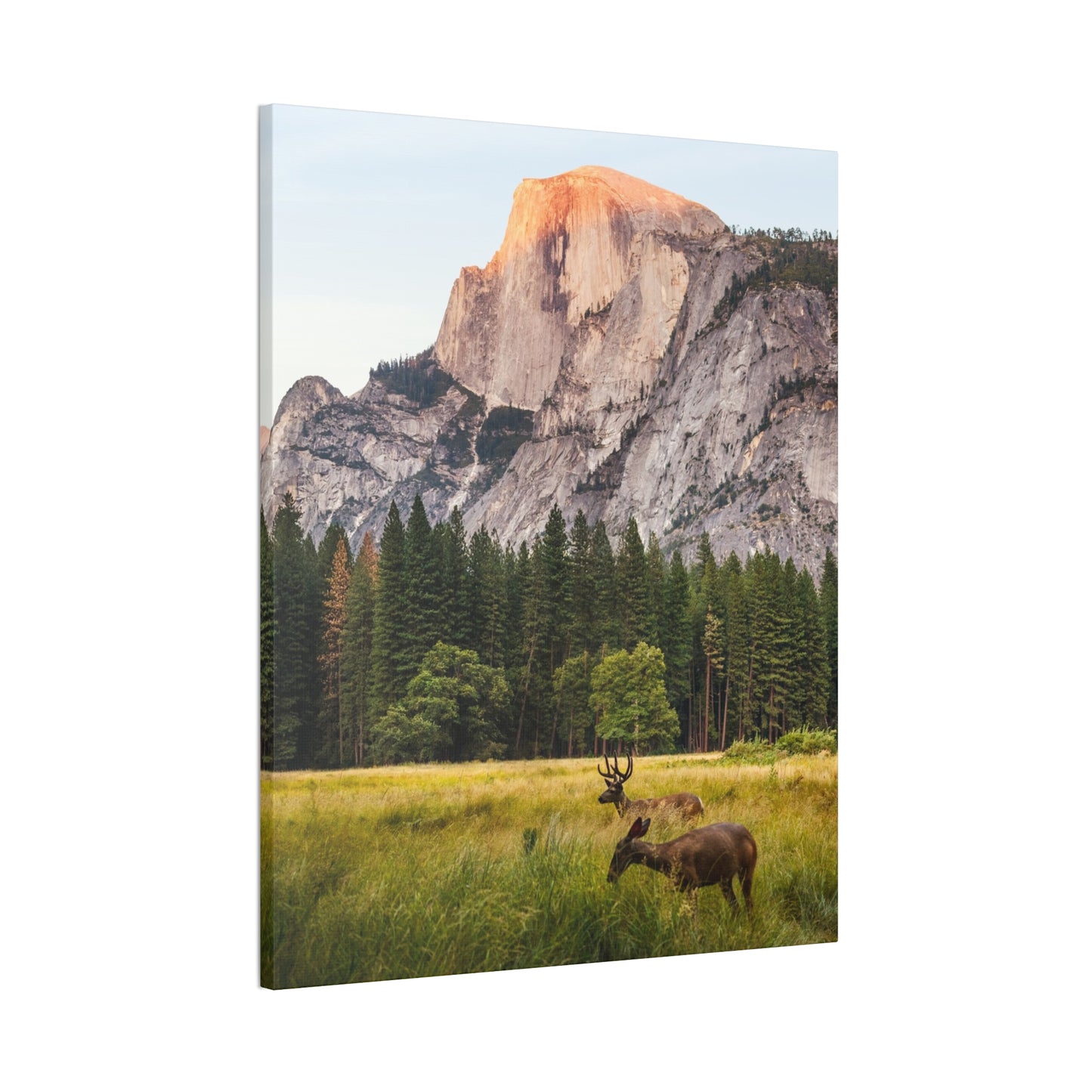 Half Dome Meadow - Canvas Stretched, 0.75"