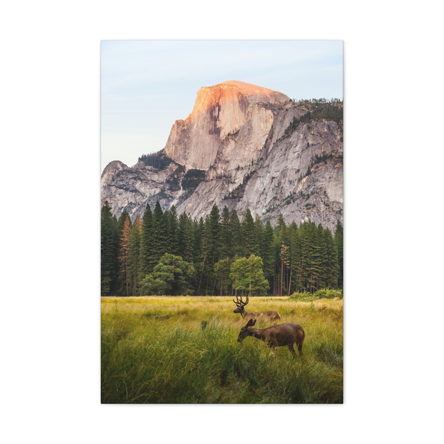 Half Dome Meadow - Canvas Stretched, 0.75"