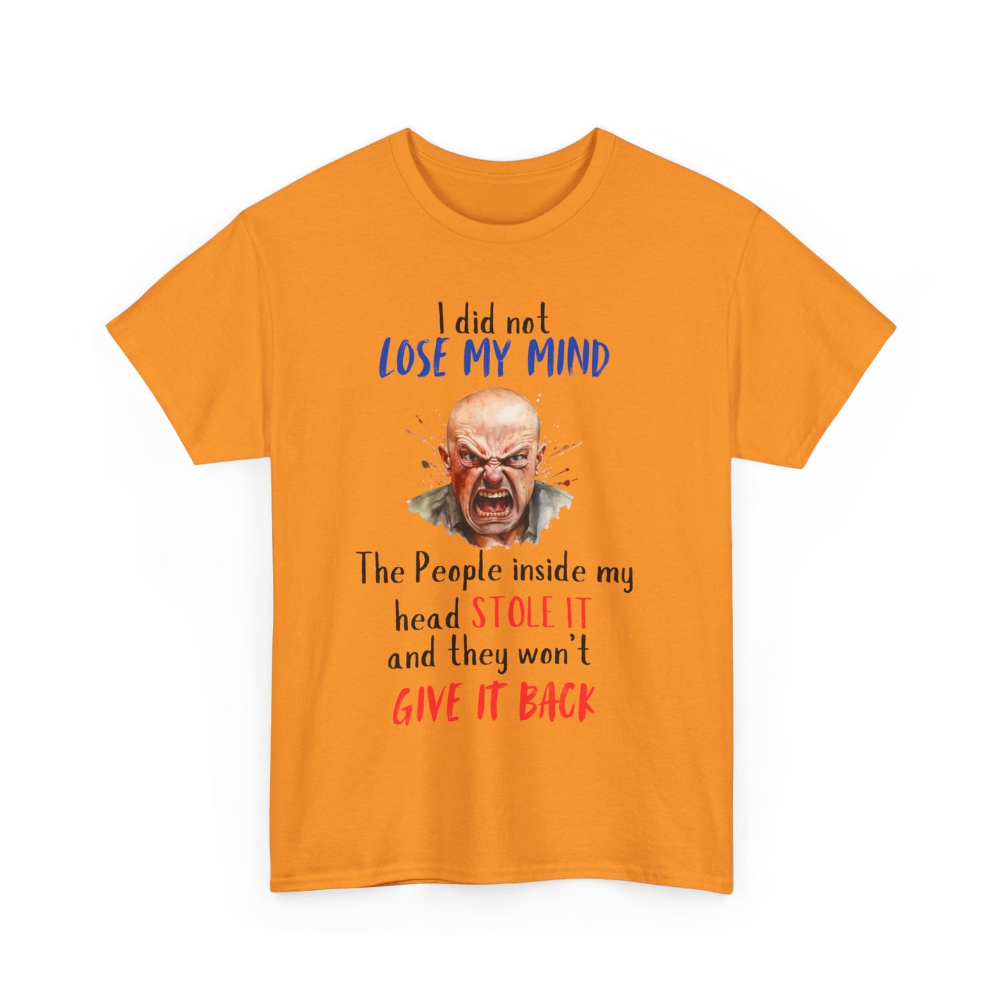 I Did Not Lose My Mind - Funny Unisex Heavy Cotton T-Shirt