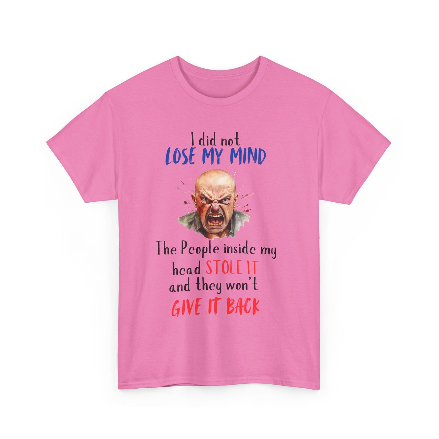 I Did Not Lose My Mind - Funny Unisex Heavy Cotton T-Shirt