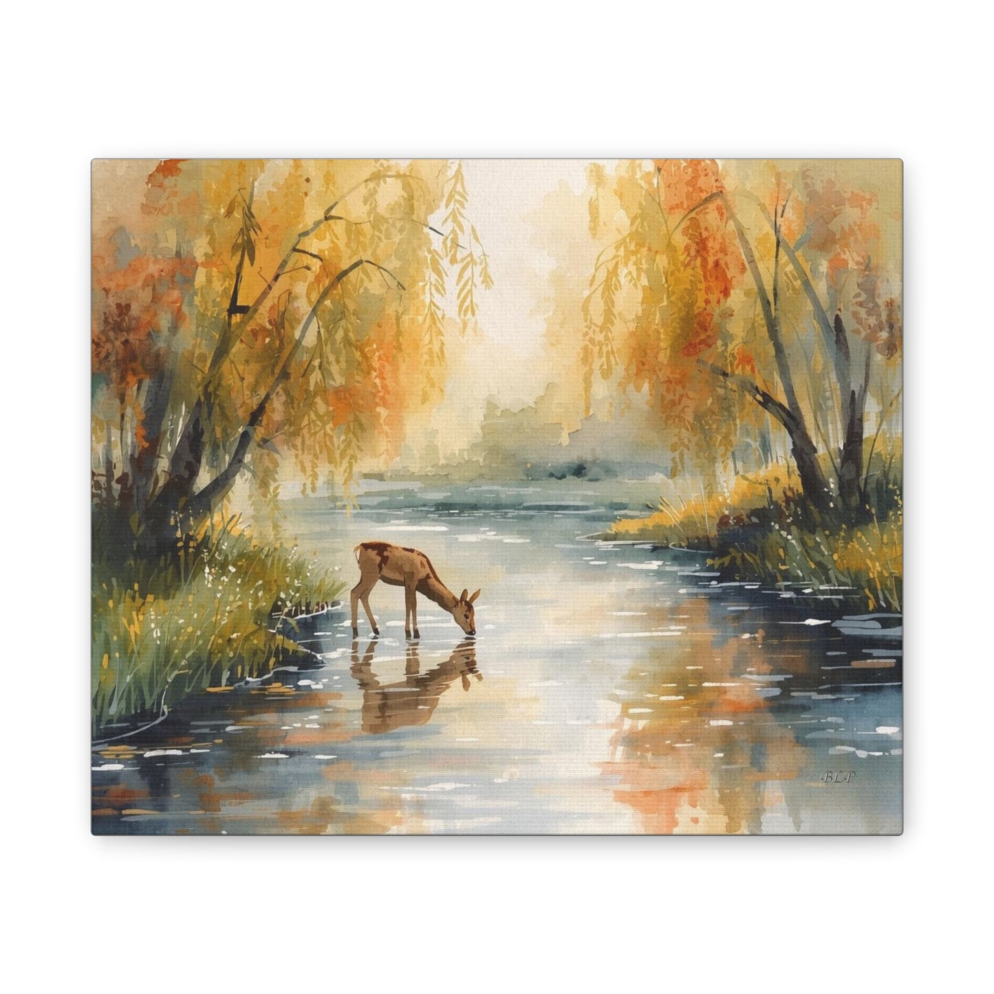Deer Drinking - Canvas Stretched, 0.75" -  2026 Wall Art - Scenes