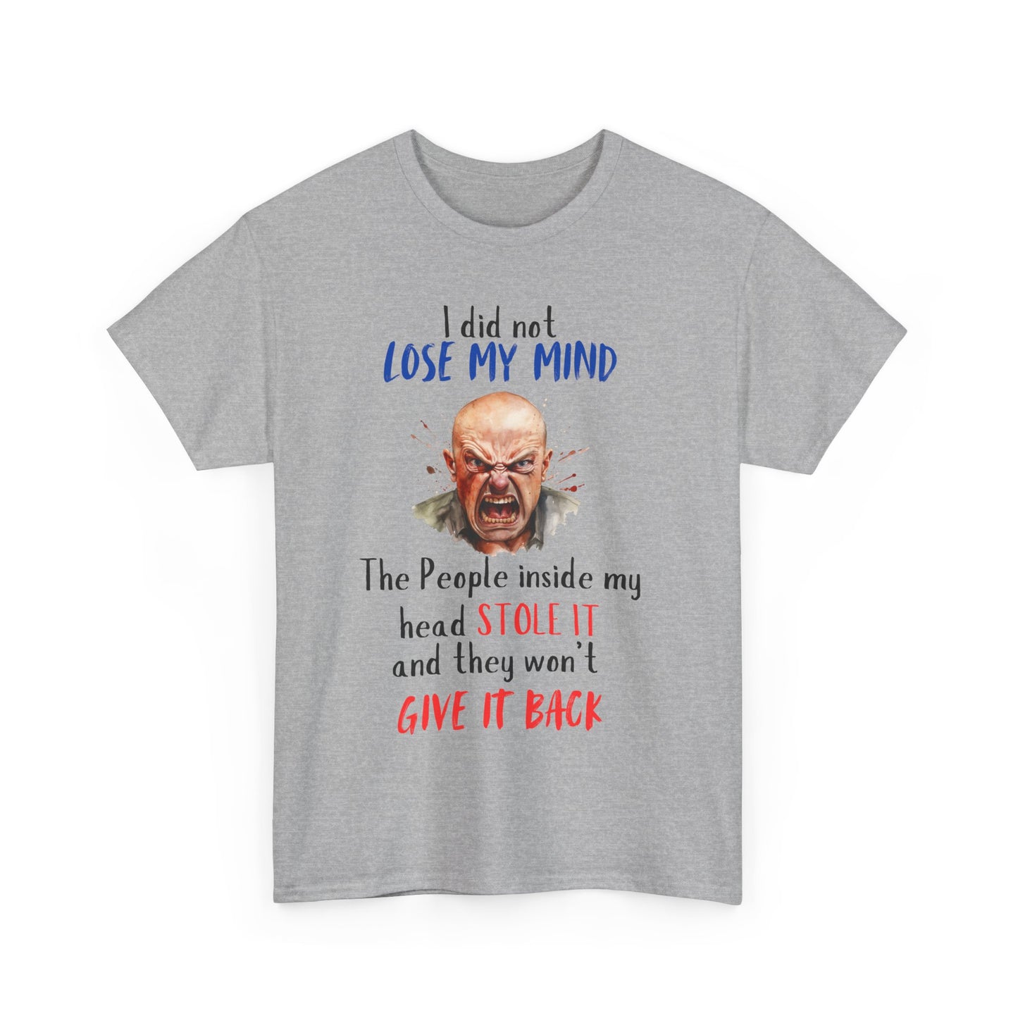 I Did Not Lose My Mind - Funny Unisex Heavy Cotton T-Shirt