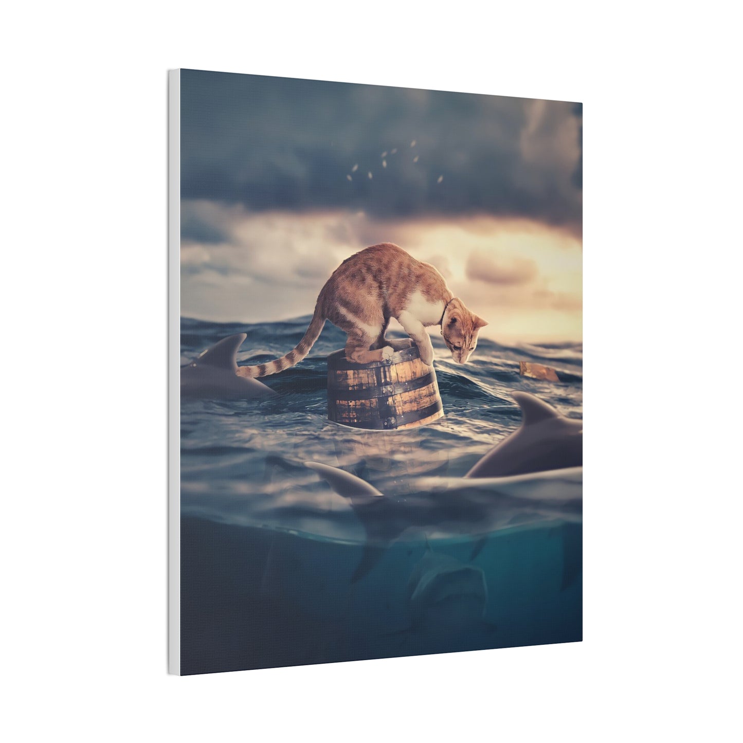 Stranded Cat - Canvas Stretched, 0.75"