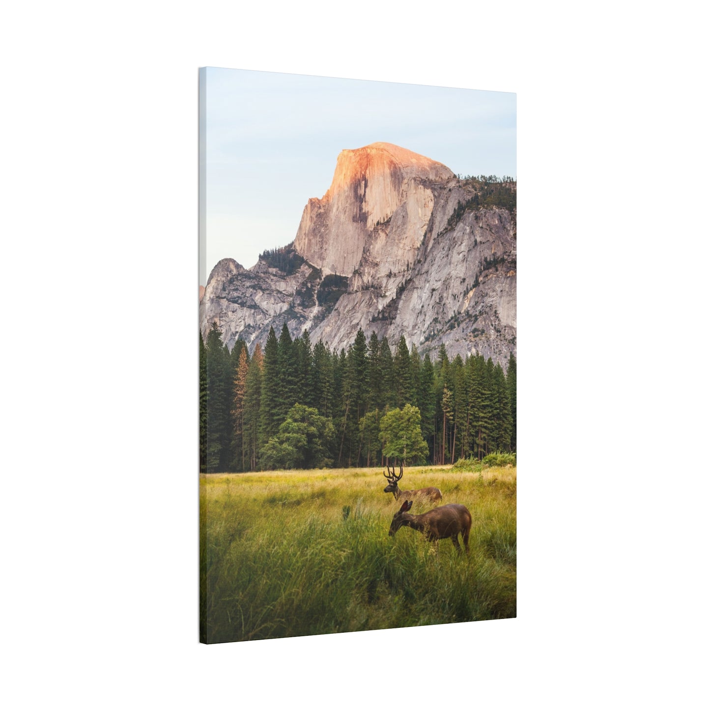 Half Dome Meadow - Canvas Stretched, 0.75"