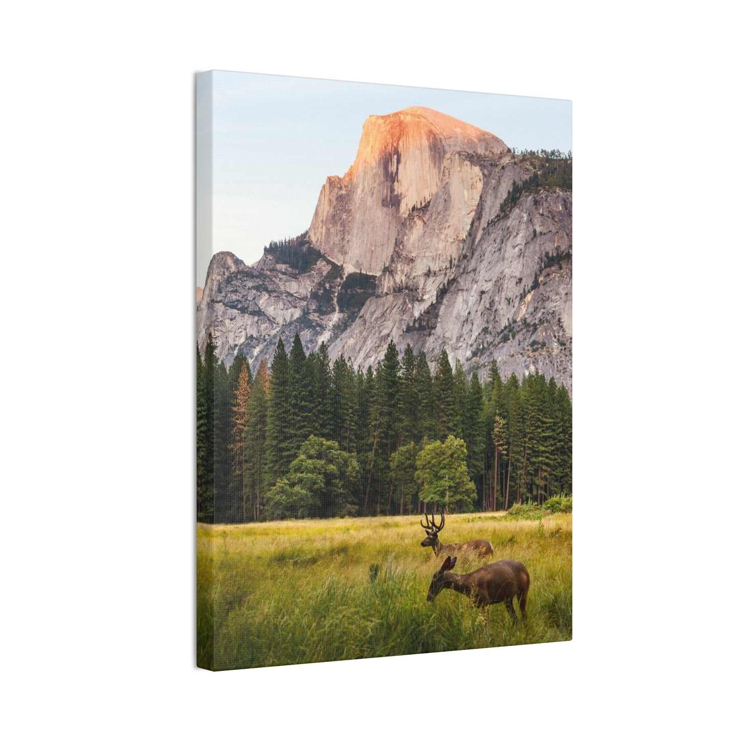 Half Dome Meadow - Canvas Stretched, 0.75"