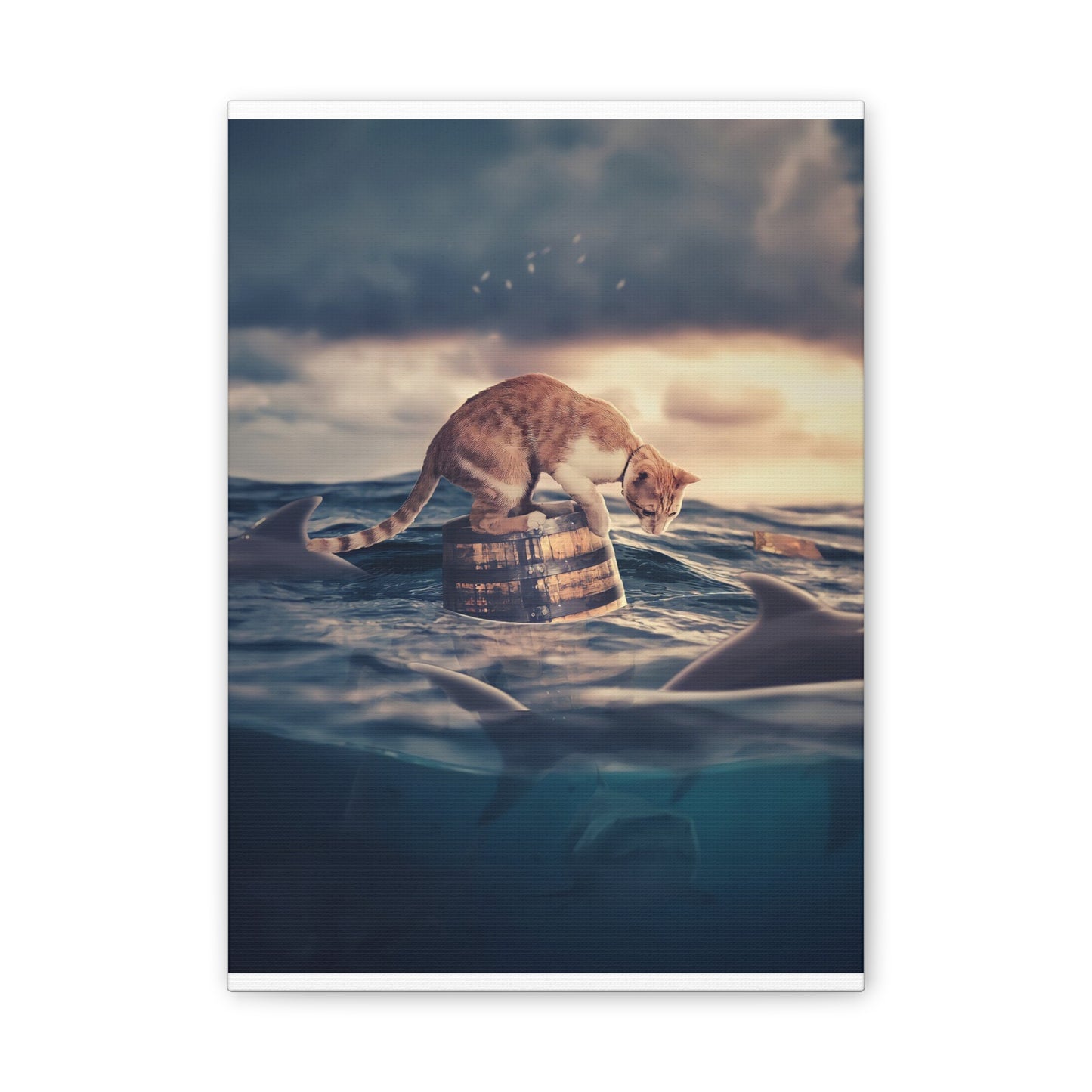 Stranded Cat - Canvas Stretched, 0.75"