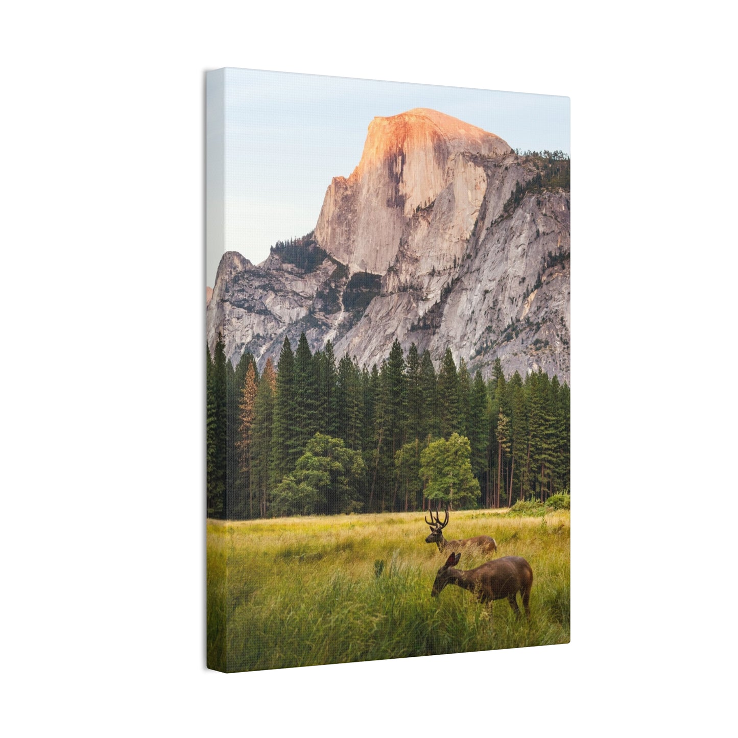 Half Dome Meadow - Canvas Stretched, 0.75"