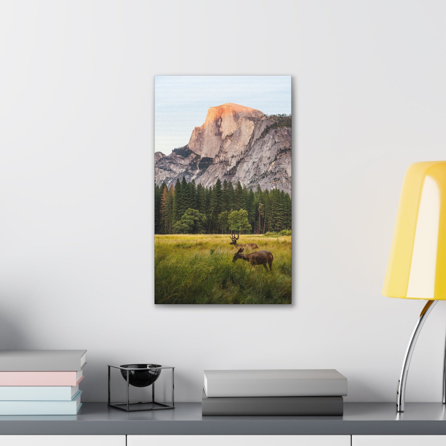 Half Dome Meadow - Canvas Stretched, 0.75"