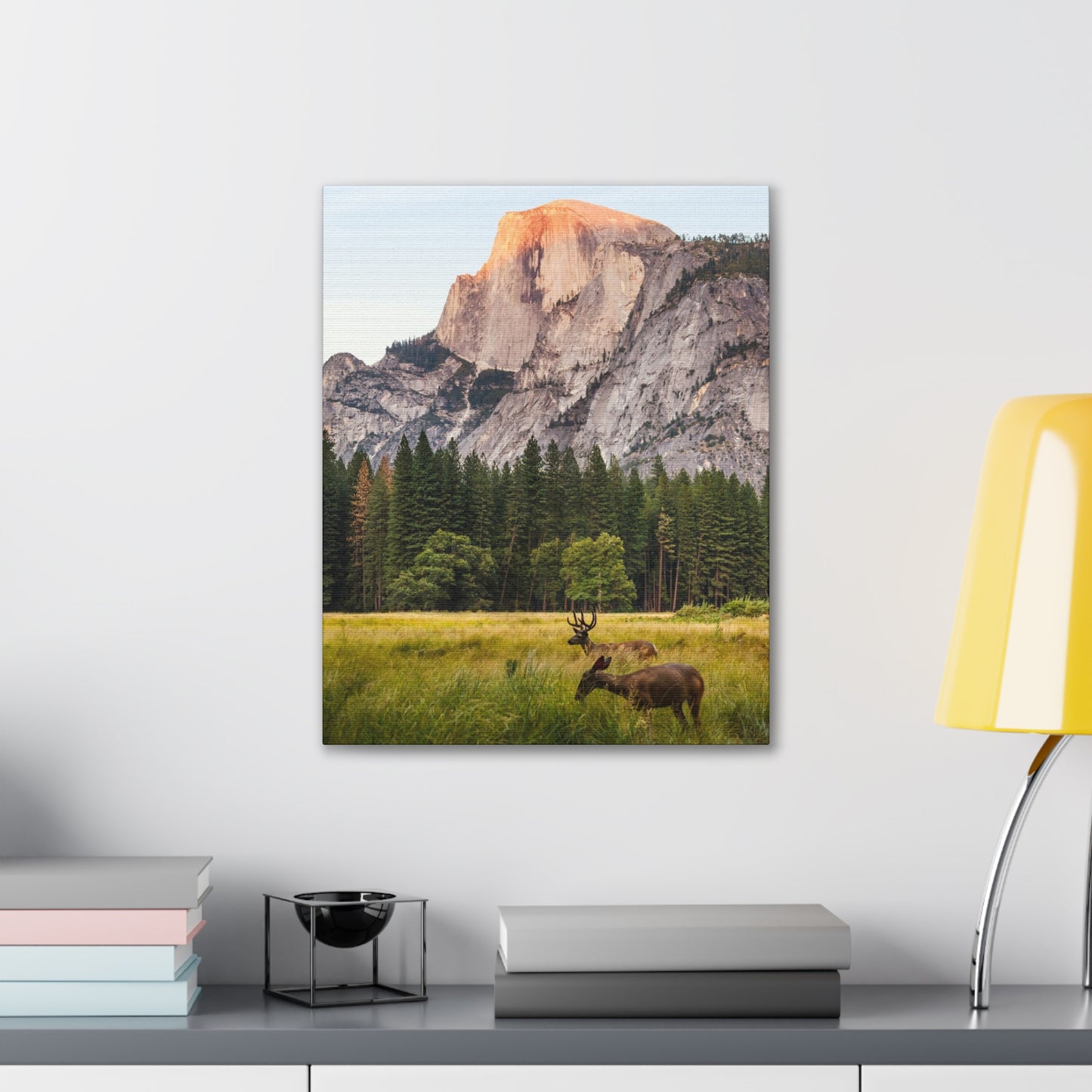 Half Dome Meadow - Canvas Stretched, 0.75"