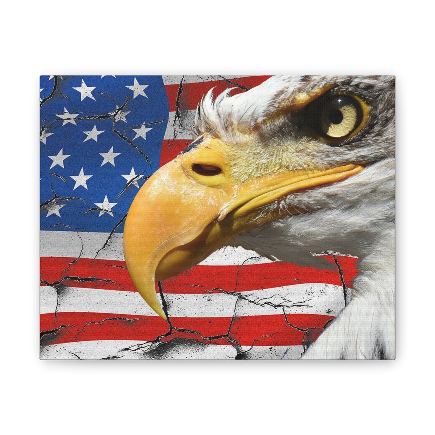 American Eagle - Canvas Stretched, 0.75" -  Military