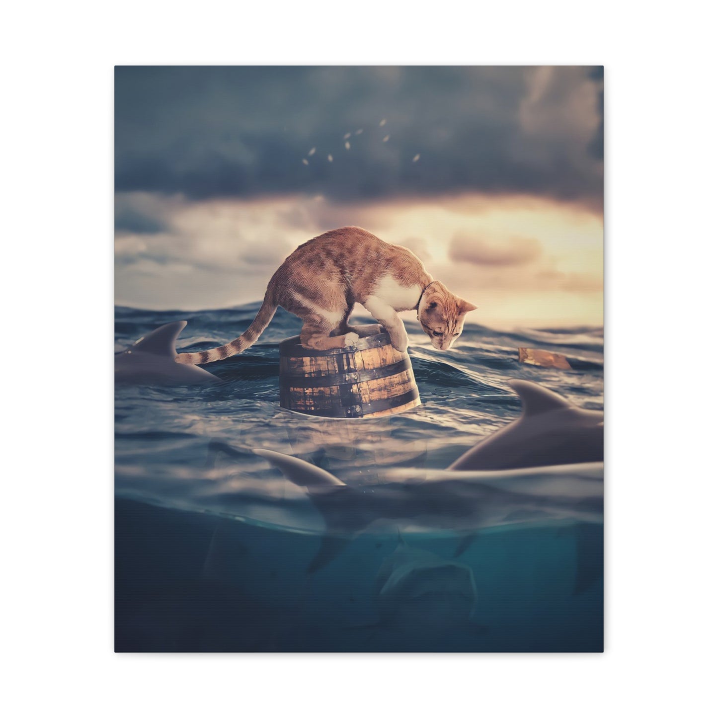 Stranded Cat - Canvas Stretched, 0.75"