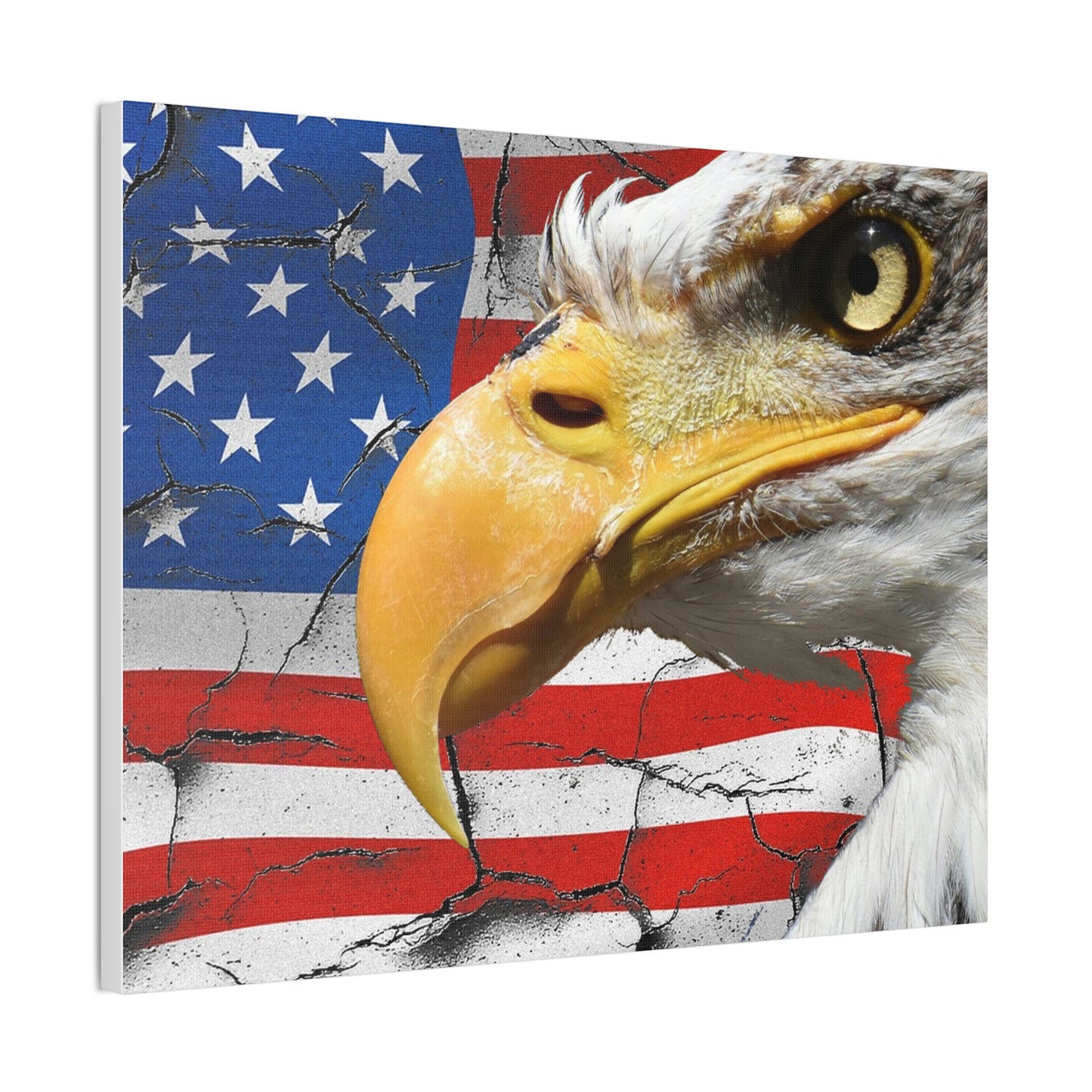 American Eagle - Canvas Stretched, 0.75" -  Military