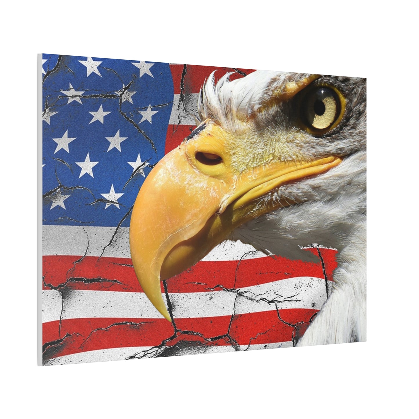 American Eagle - Canvas Stretched, 0.75" -  Military