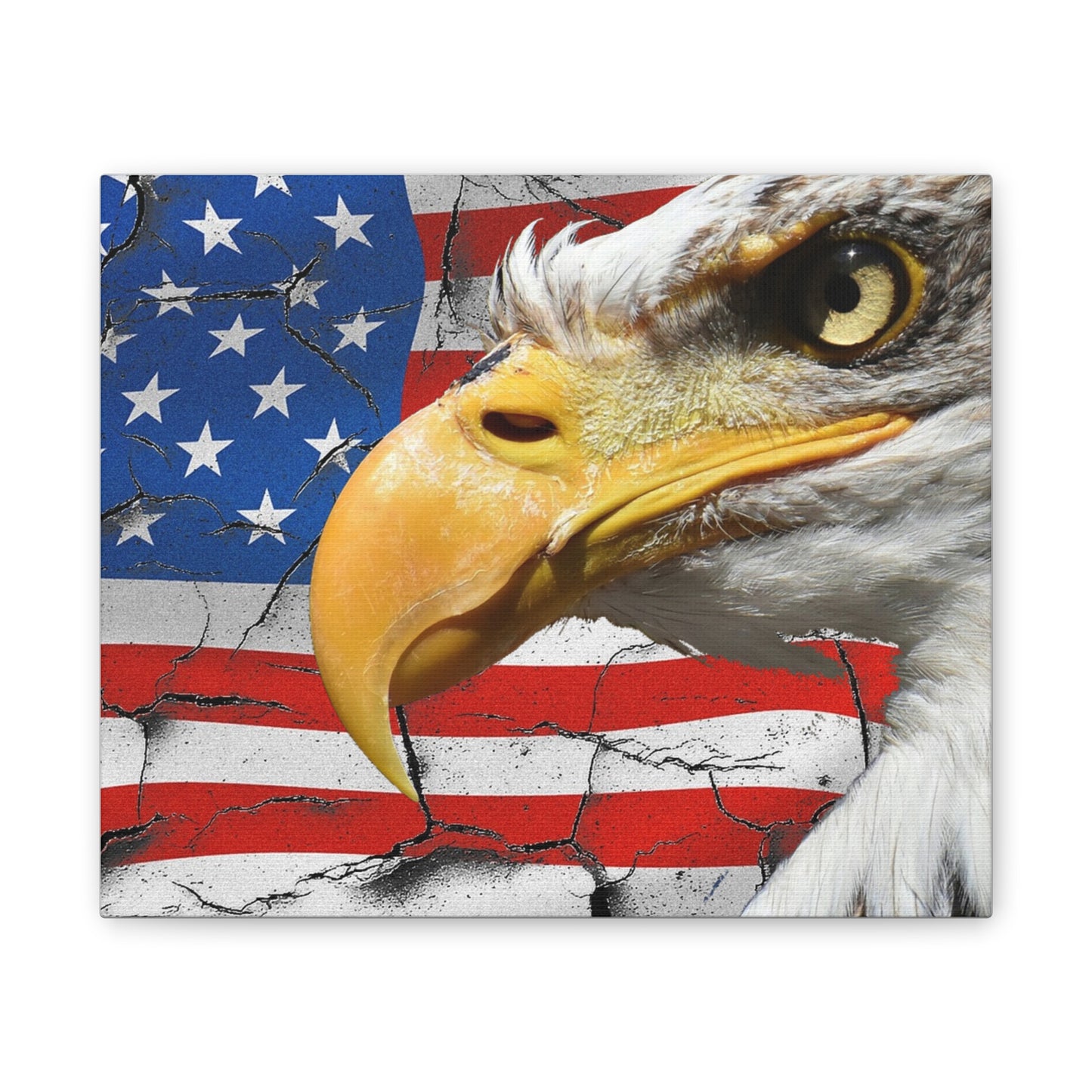 American Eagle - Canvas Stretched, 0.75" -  Military