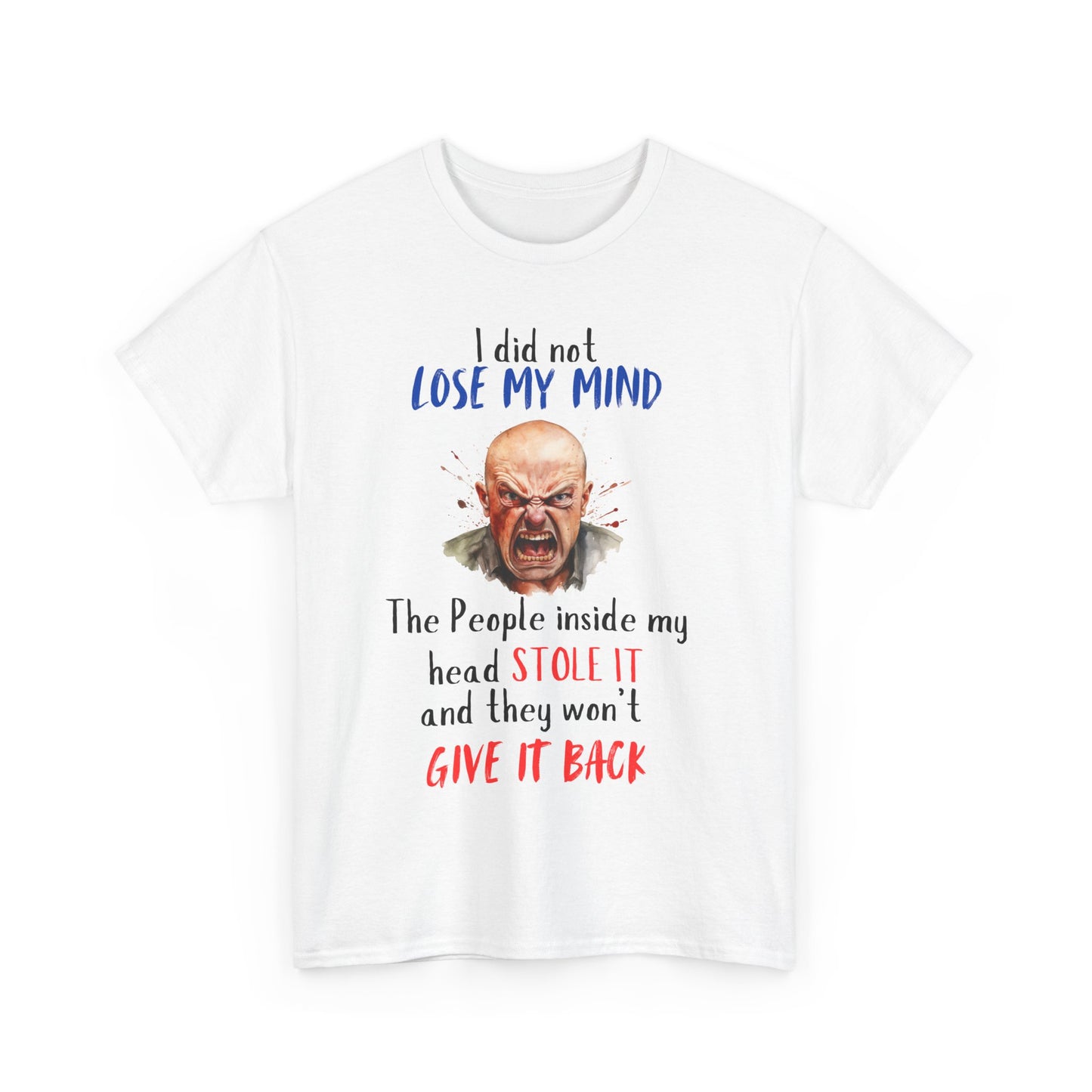 I Did Not Lose My Mind - Funny Unisex Heavy Cotton T-Shirt