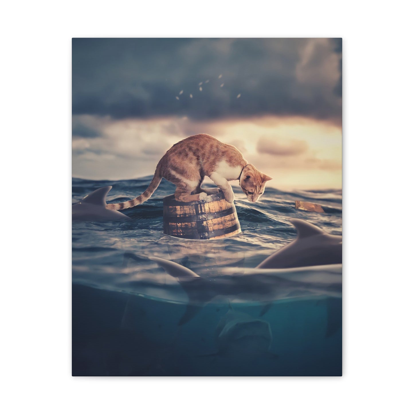 Stranded Cat - Canvas Stretched, 0.75"