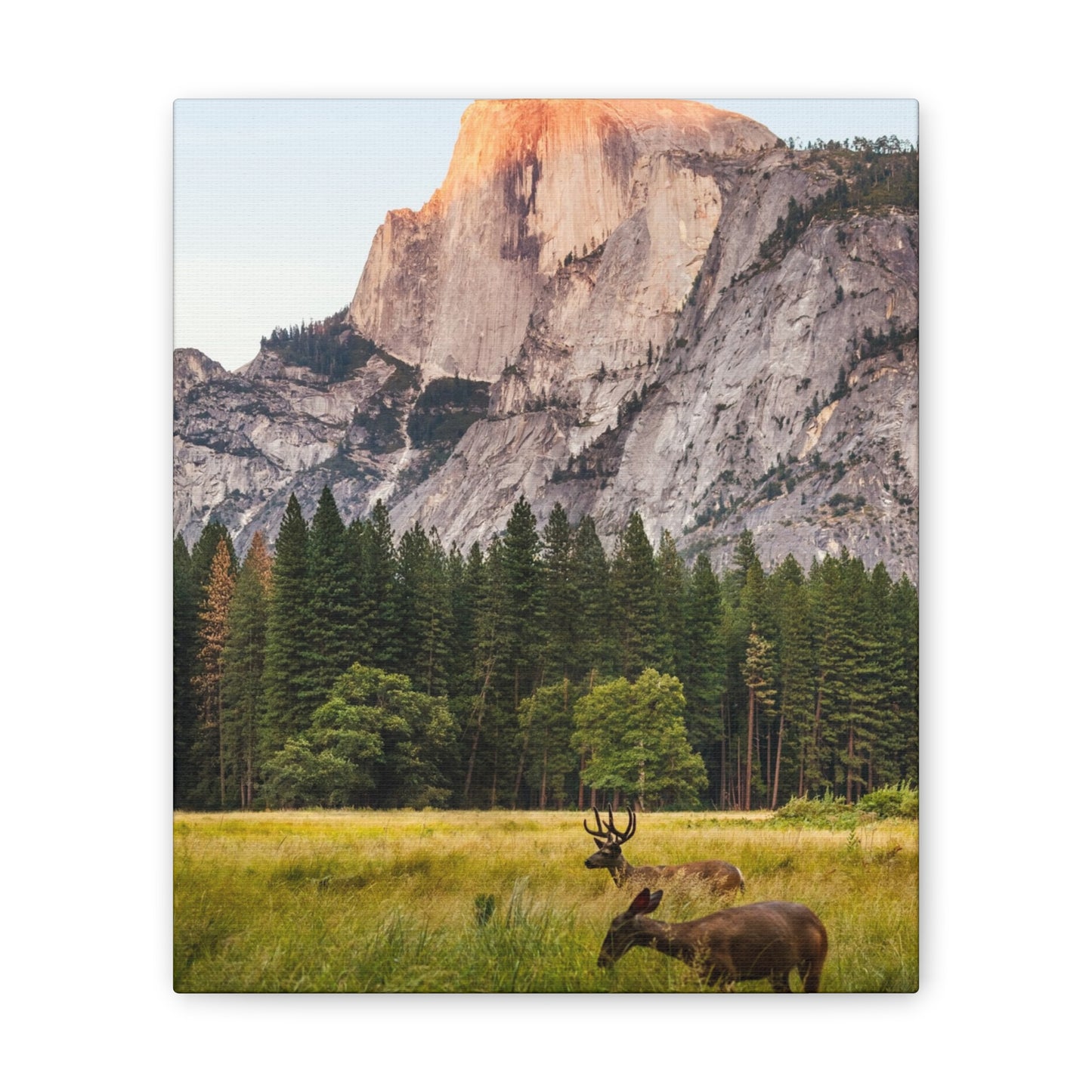 Half Dome Meadow - Canvas Stretched, 0.75"