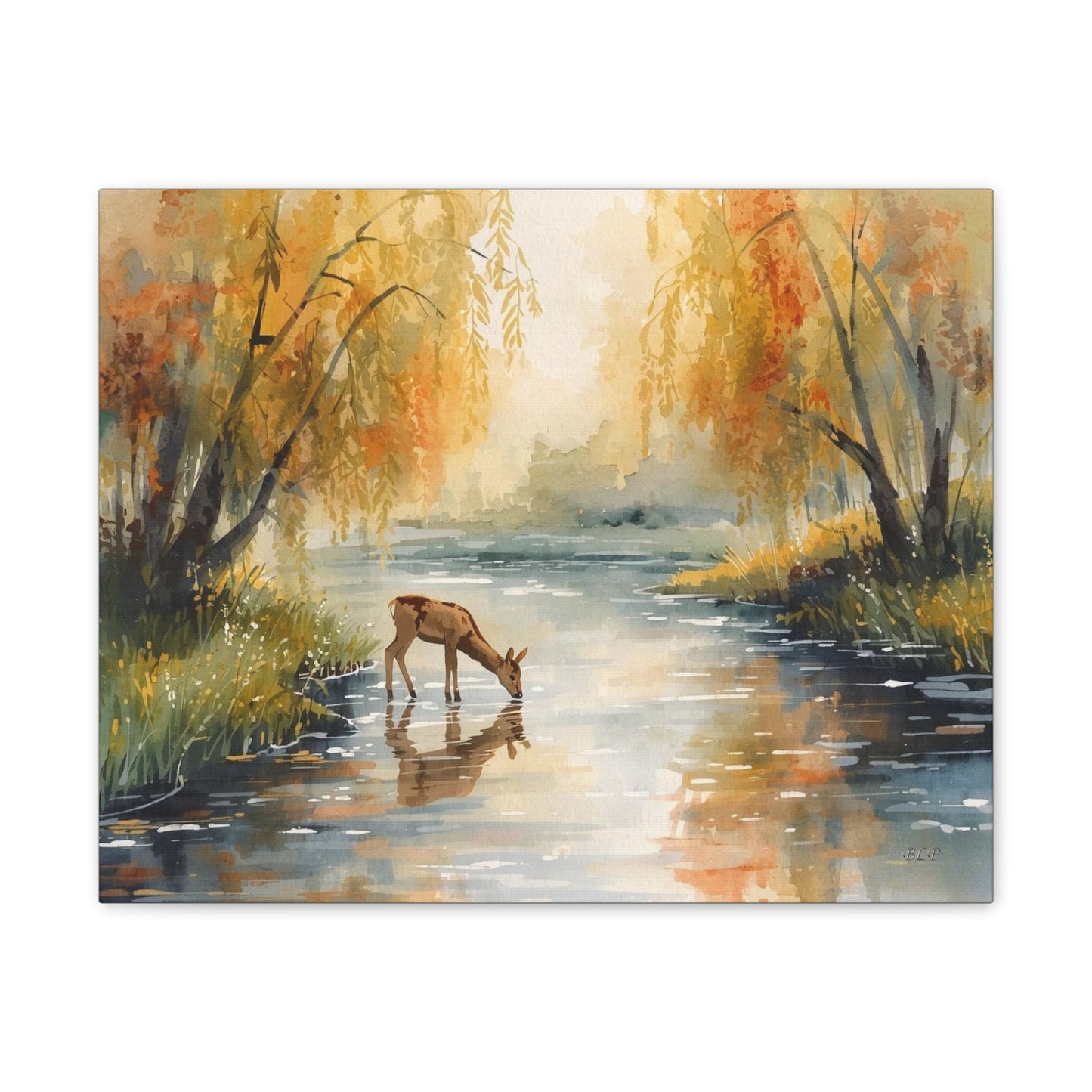 Deer Drinking - Canvas Stretched, 0.75" -  2026 Wall Art - Scenes