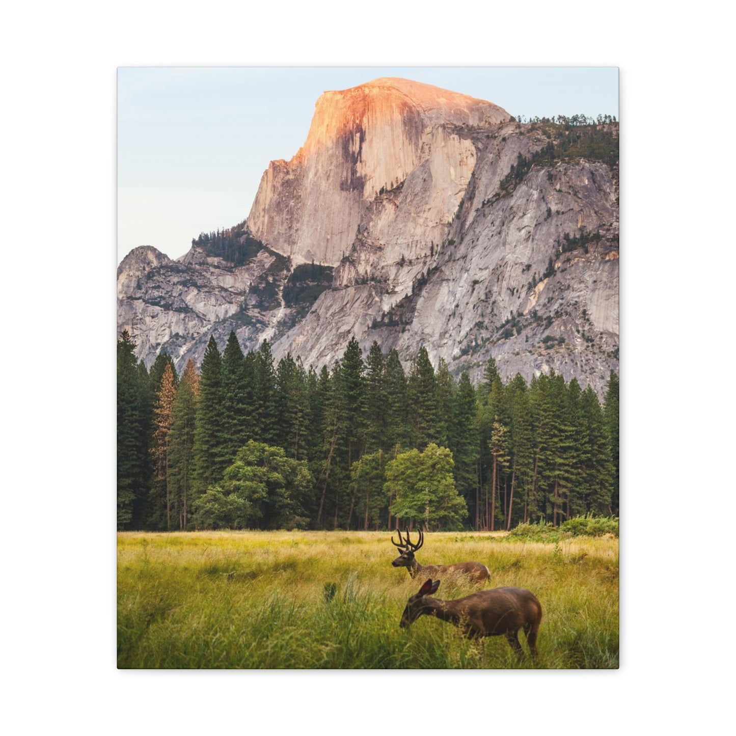 Half Dome Meadow - Canvas Stretched, 0.75"