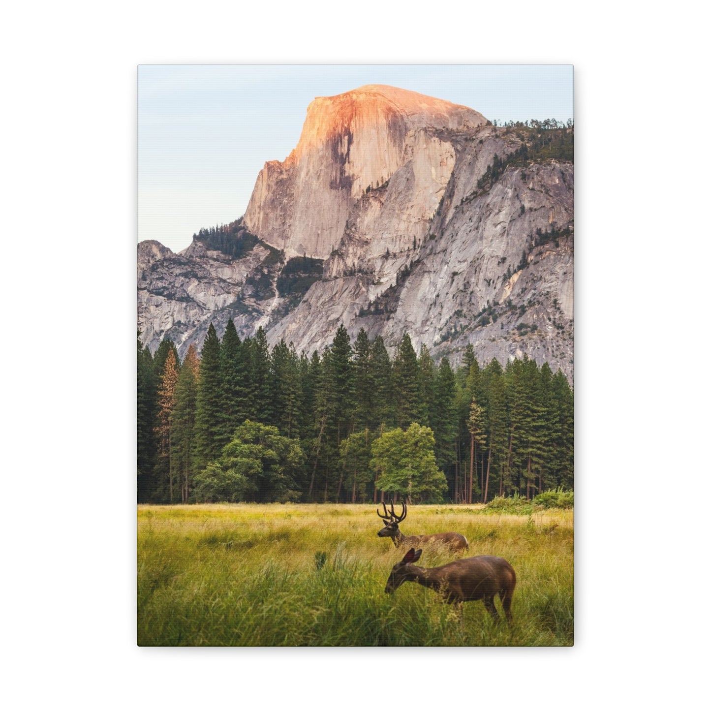 Half Dome Meadow - Canvas Stretched, 0.75"