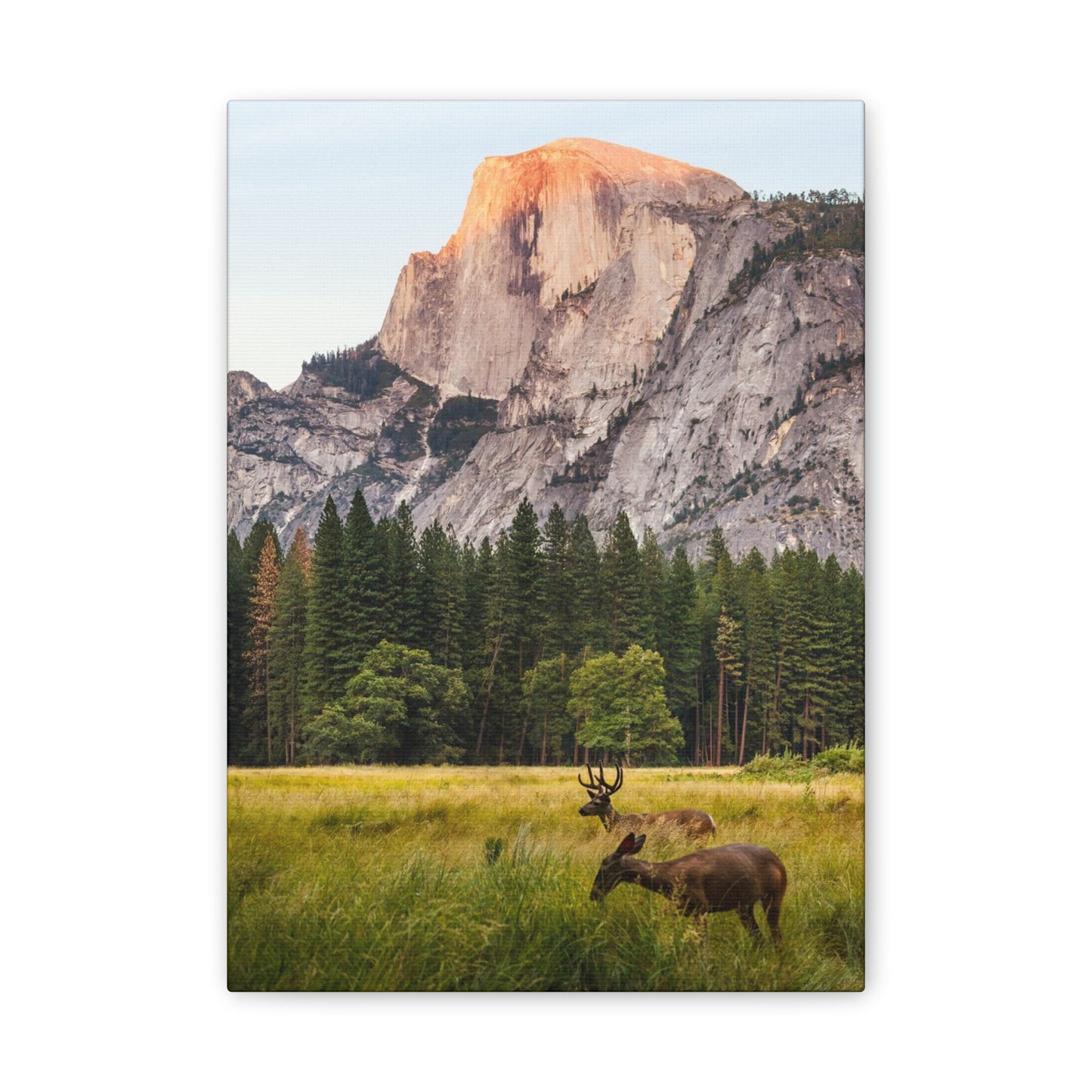 Half Dome Meadow - Canvas Stretched, 0.75"