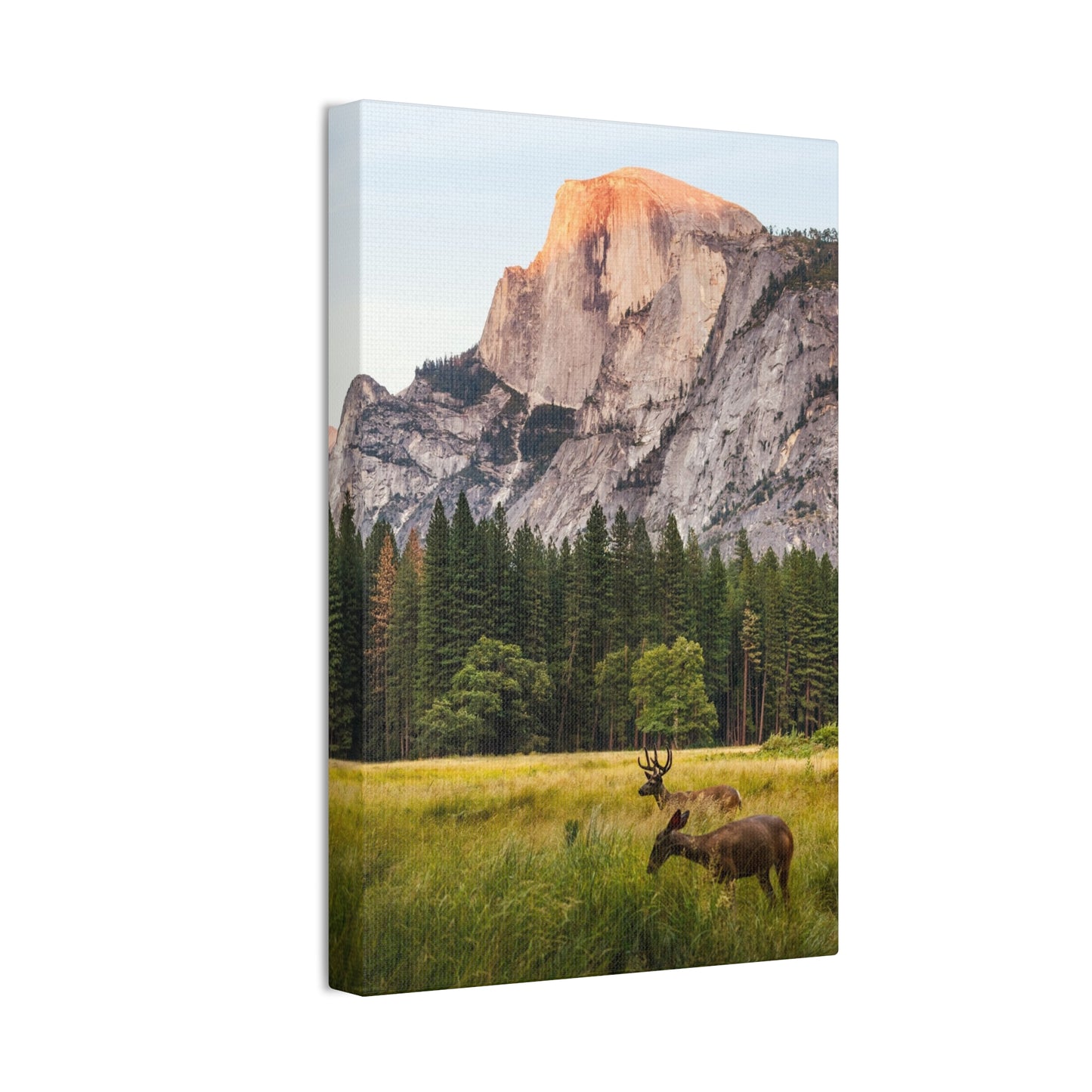 Half Dome Meadow - Canvas Stretched, 0.75"