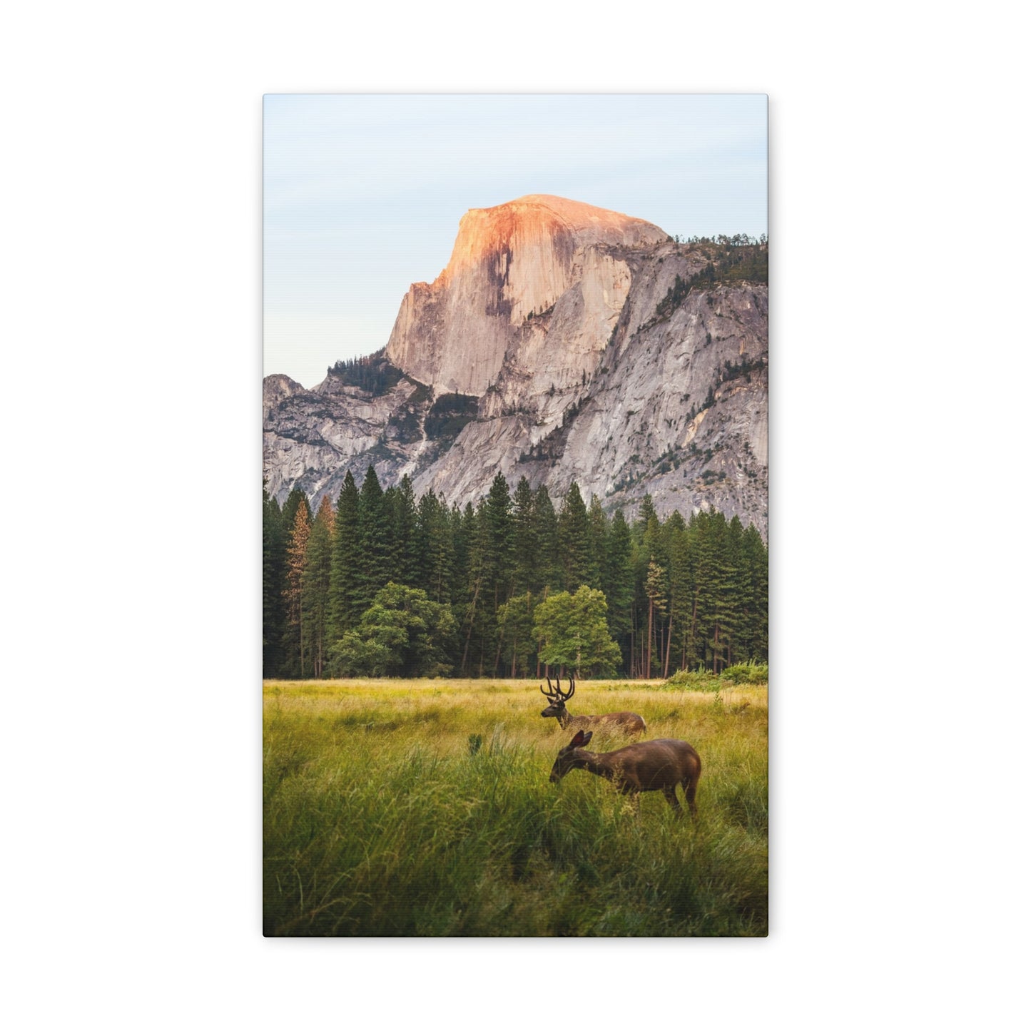 Half Dome Meadow - Canvas Stretched, 0.75"