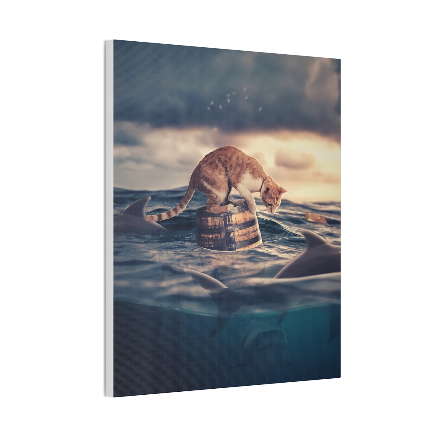 Stranded Cat - Canvas Stretched, 0.75"