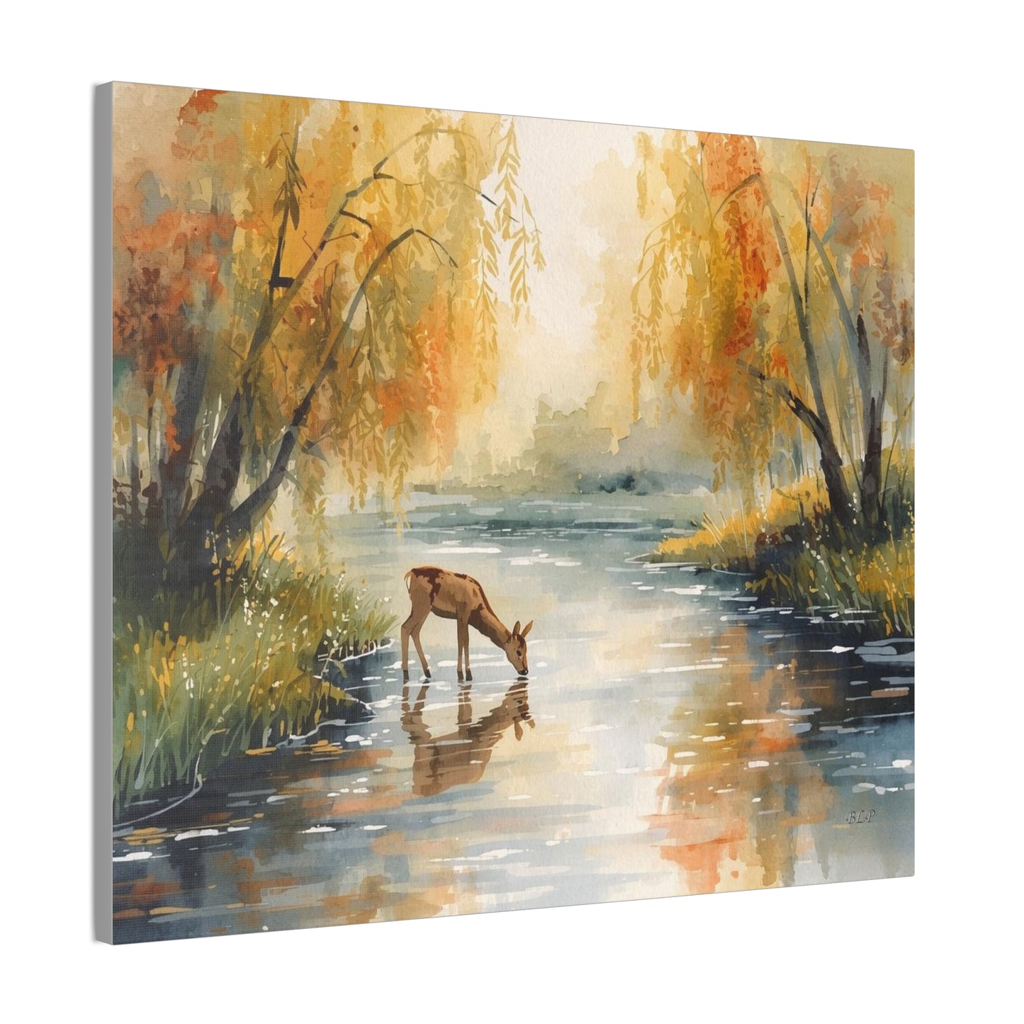 Deer Drinking - Canvas Stretched, 0.75" -  2026 Wall Art - Scenes