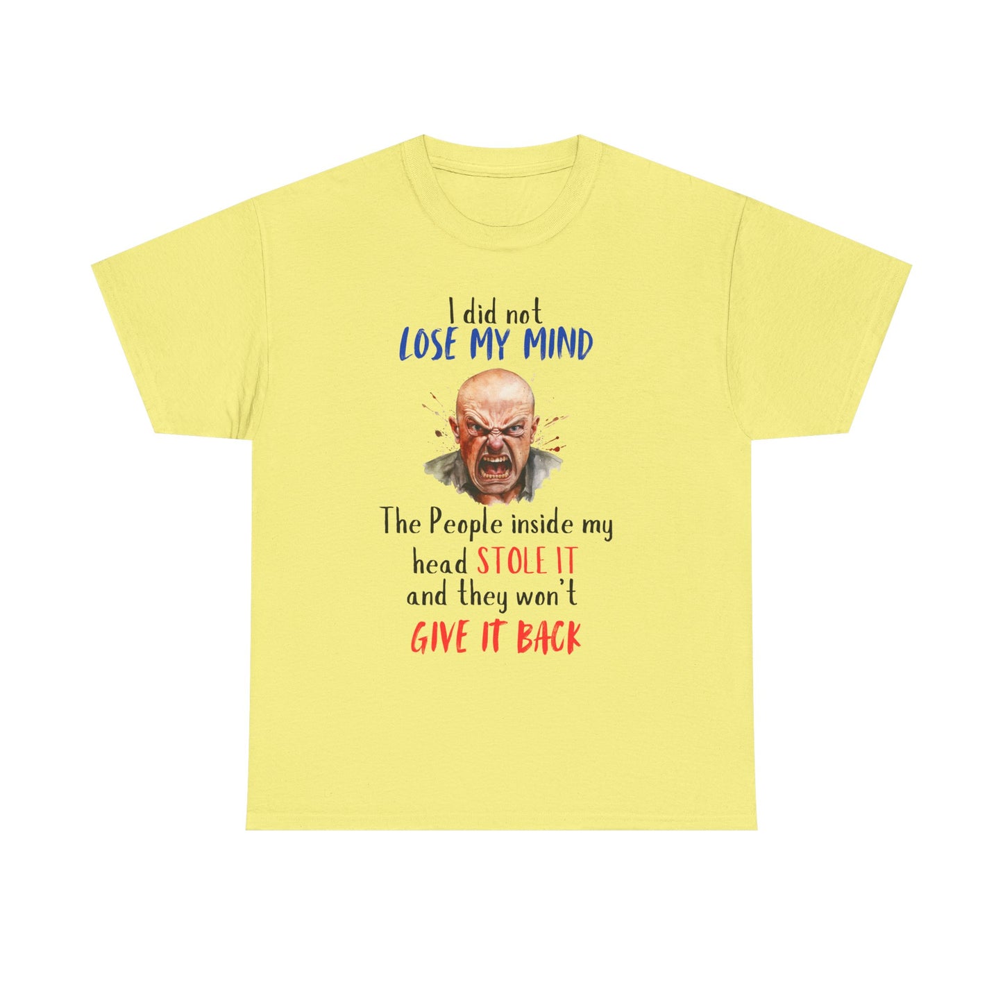 I Did Not Lose My Mind - Funny Unisex Heavy Cotton T-Shirt