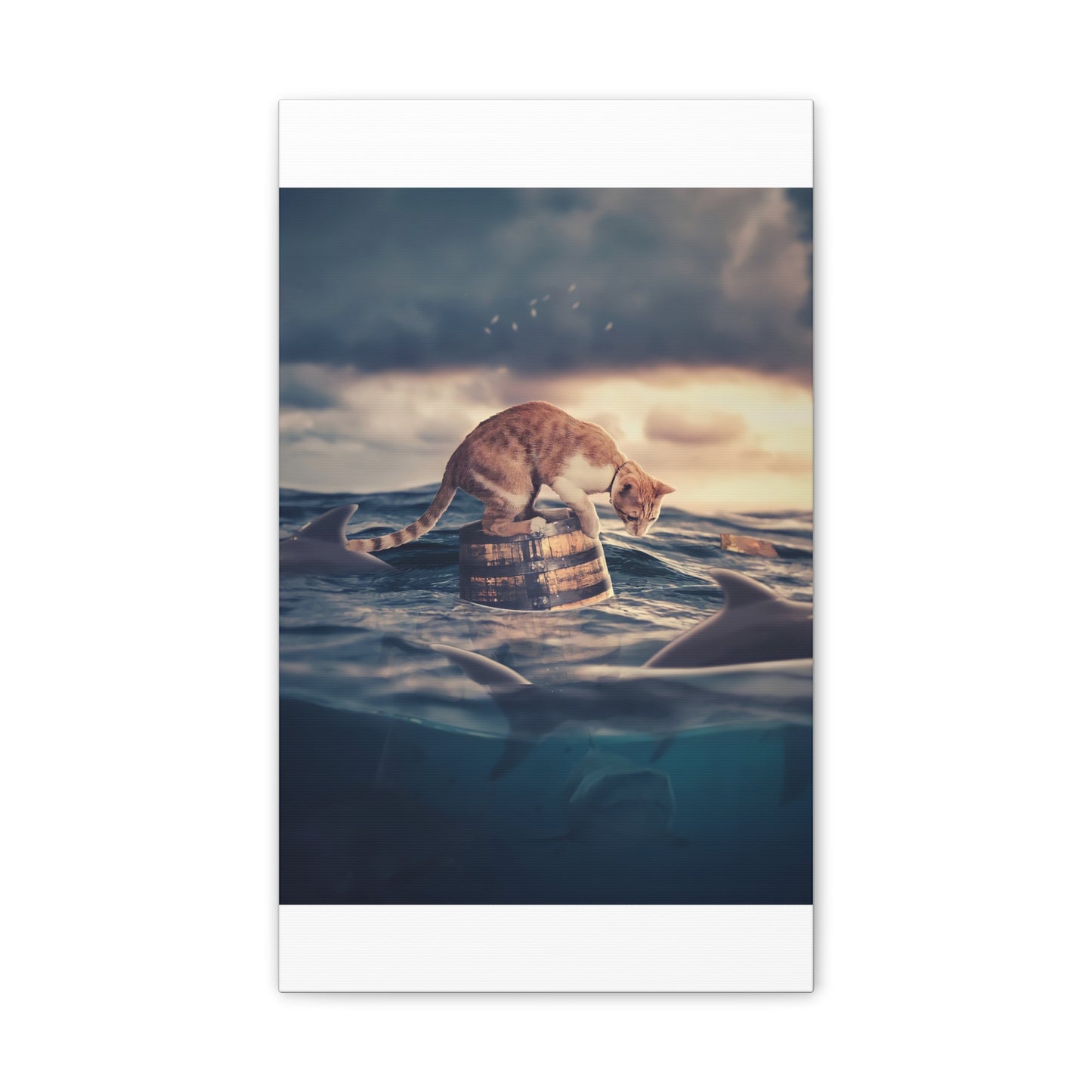 Stranded Cat - Canvas Stretched, 0.75"