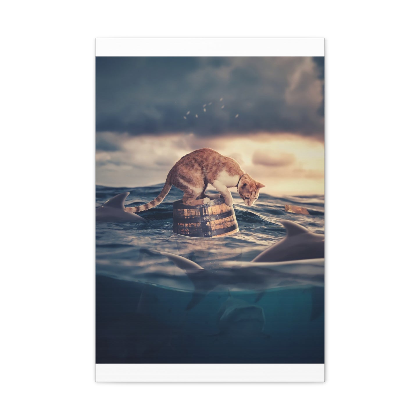 Stranded Cat - Canvas Stretched, 0.75"