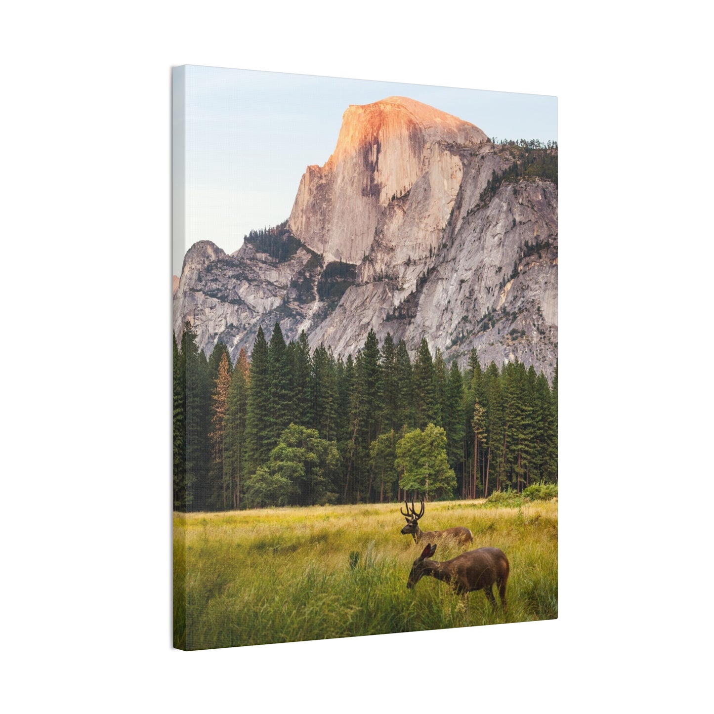 Half Dome Meadow - Canvas Stretched, 0.75"