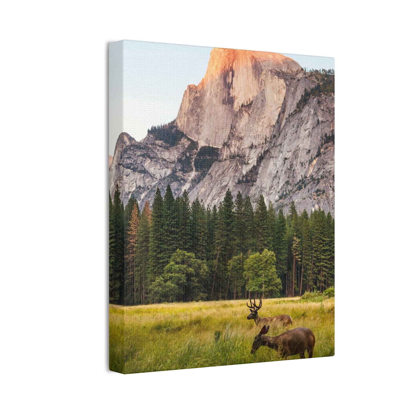 Half Dome Meadow - Canvas Stretched, 0.75"