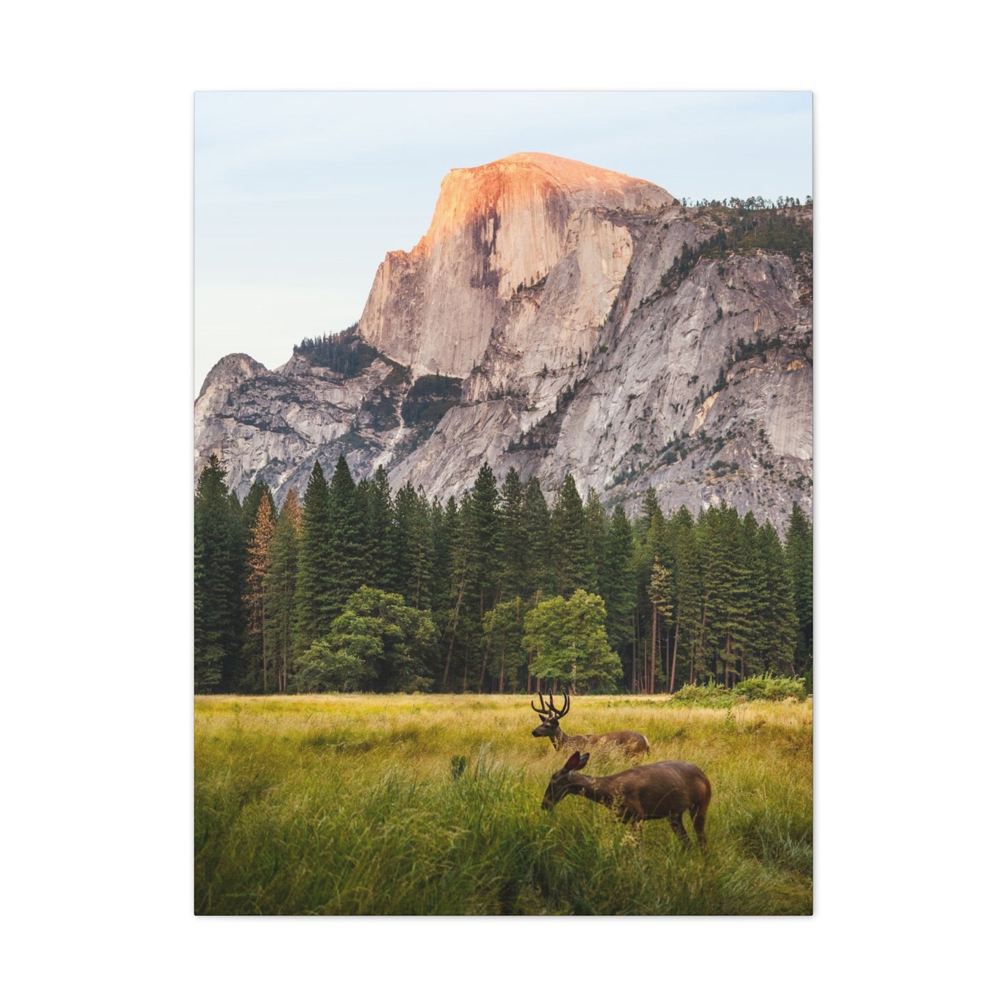 Half Dome Meadow - Canvas Stretched, 0.75"