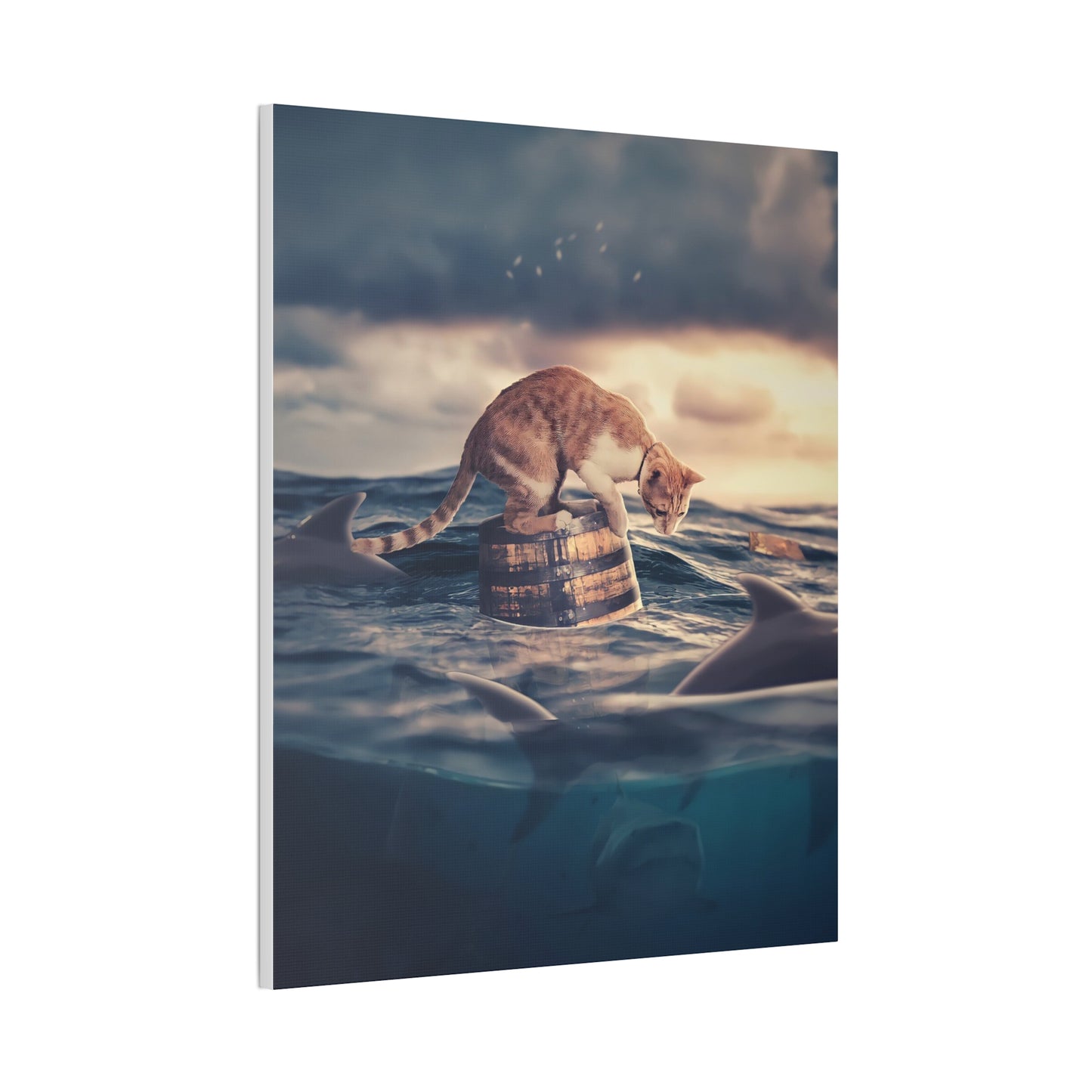 Stranded Cat - Canvas Stretched, 0.75"