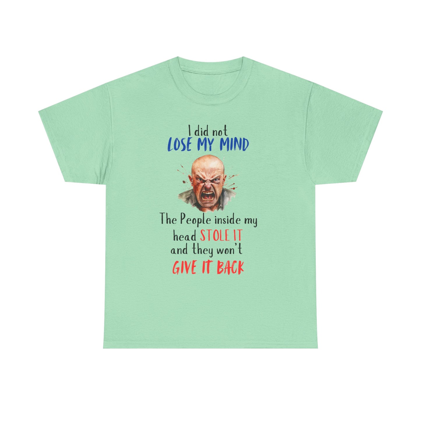 I Did Not Lose My Mind - Funny Unisex Heavy Cotton T-Shirt