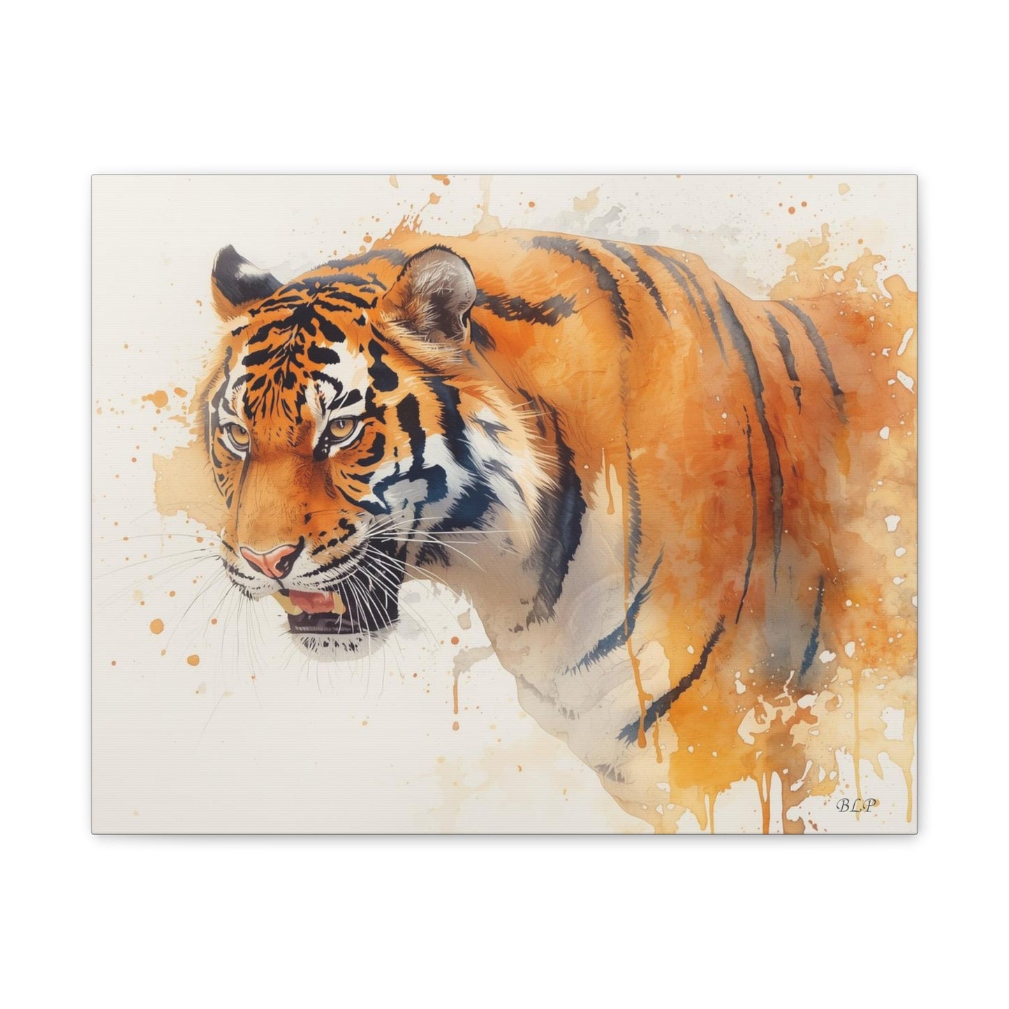 Tiger - Canvas Stretched, 0.75" - 2026 Wall Art - Animals