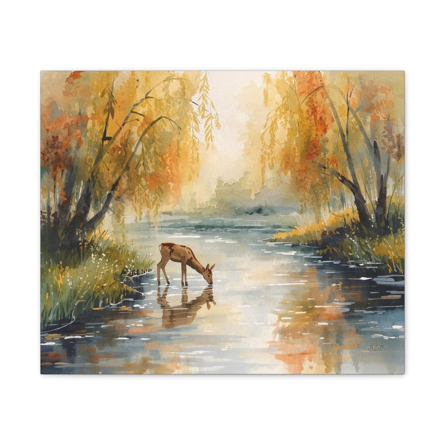 Deer Drinking - Canvas Stretched, 0.75" -  2026 Wall Art - Scenes