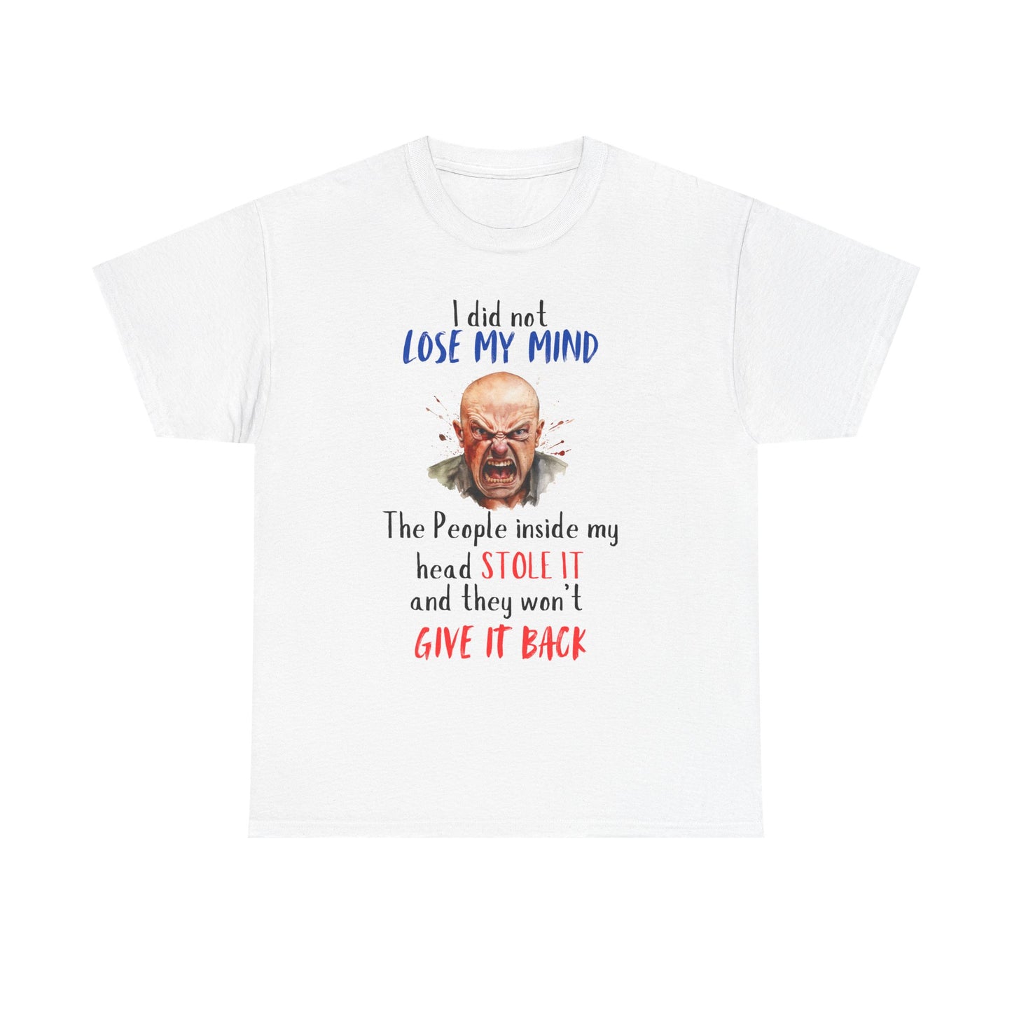 I Did Not Lose My Mind - Funny Unisex Heavy Cotton T-Shirt