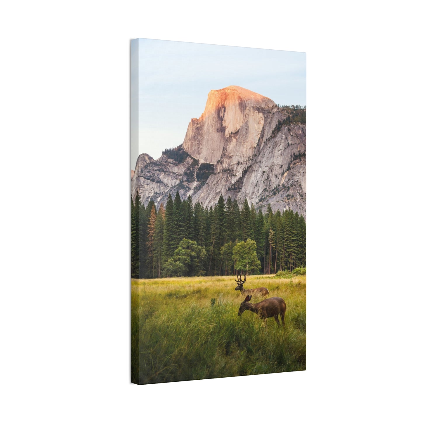 Half Dome Meadow - Canvas Stretched, 0.75"