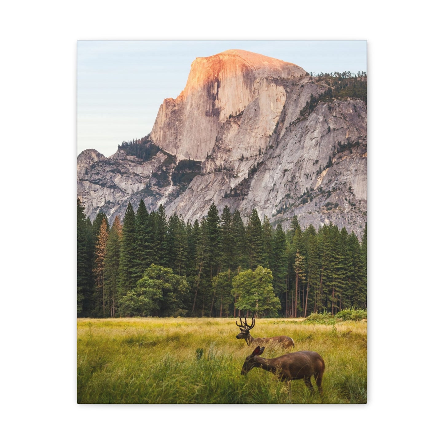 Half Dome Meadow - Canvas Stretched, 0.75"