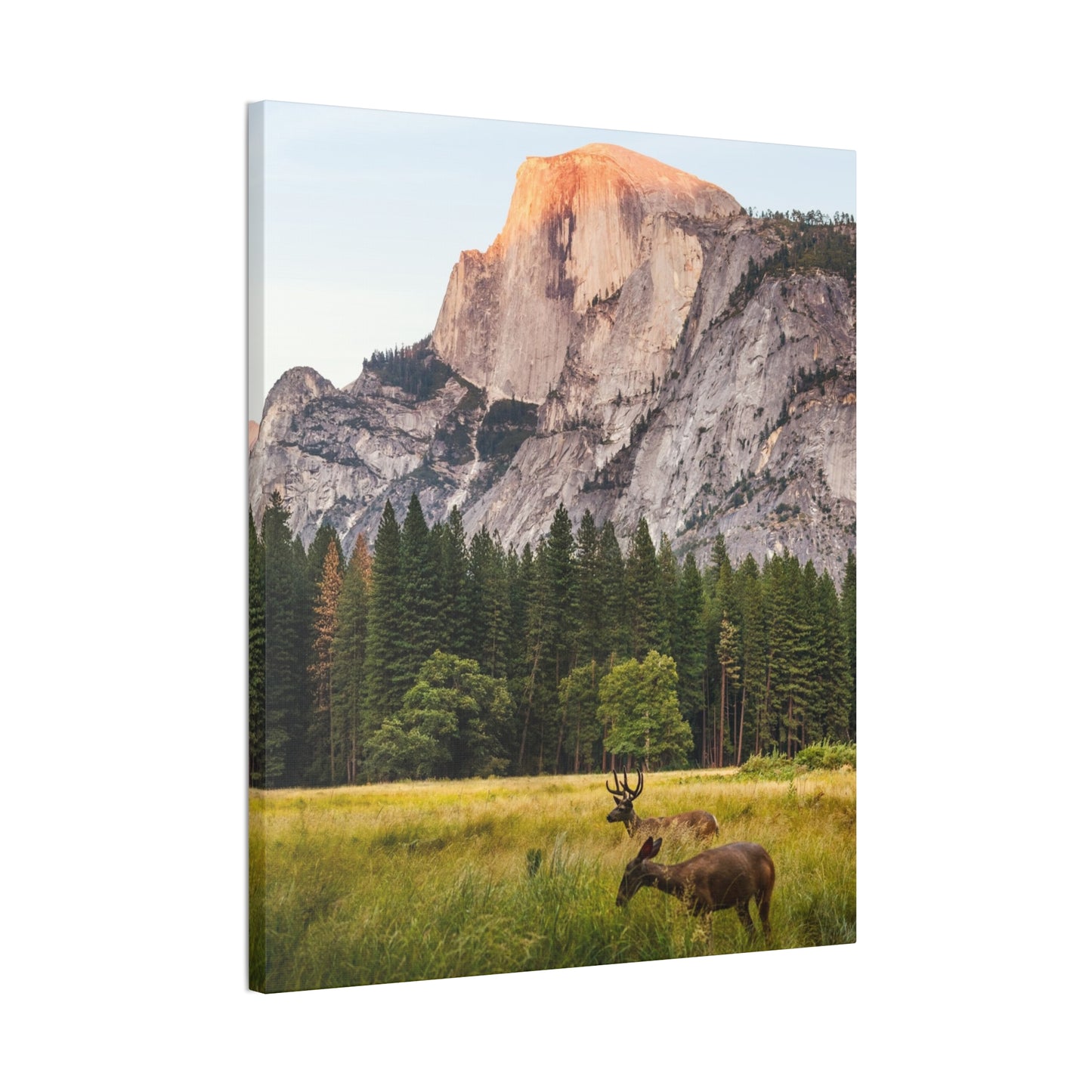 Half Dome Meadow - Canvas Stretched, 0.75"