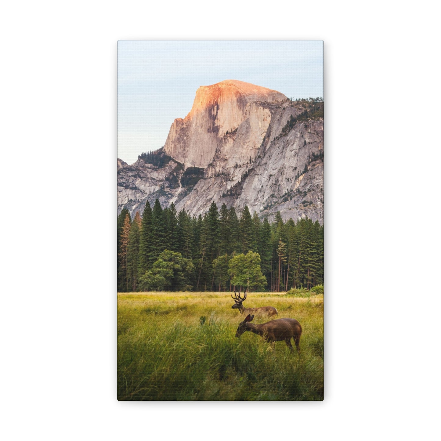 Half Dome Meadow - Canvas Stretched, 0.75"