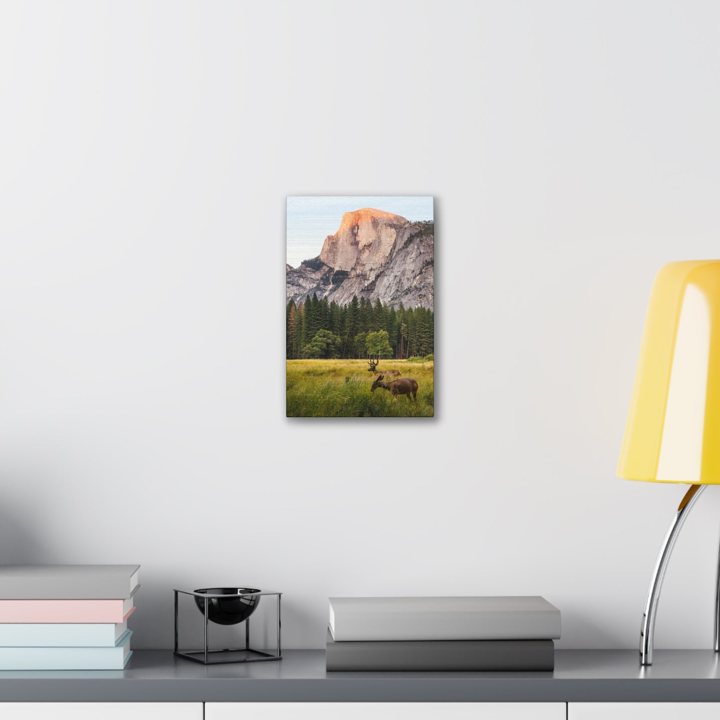 Half Dome Meadow - Canvas Stretched, 0.75"