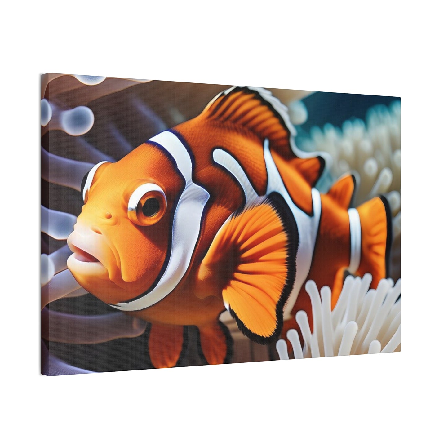 Clown Fish - Canvas Stretched, 0.75"