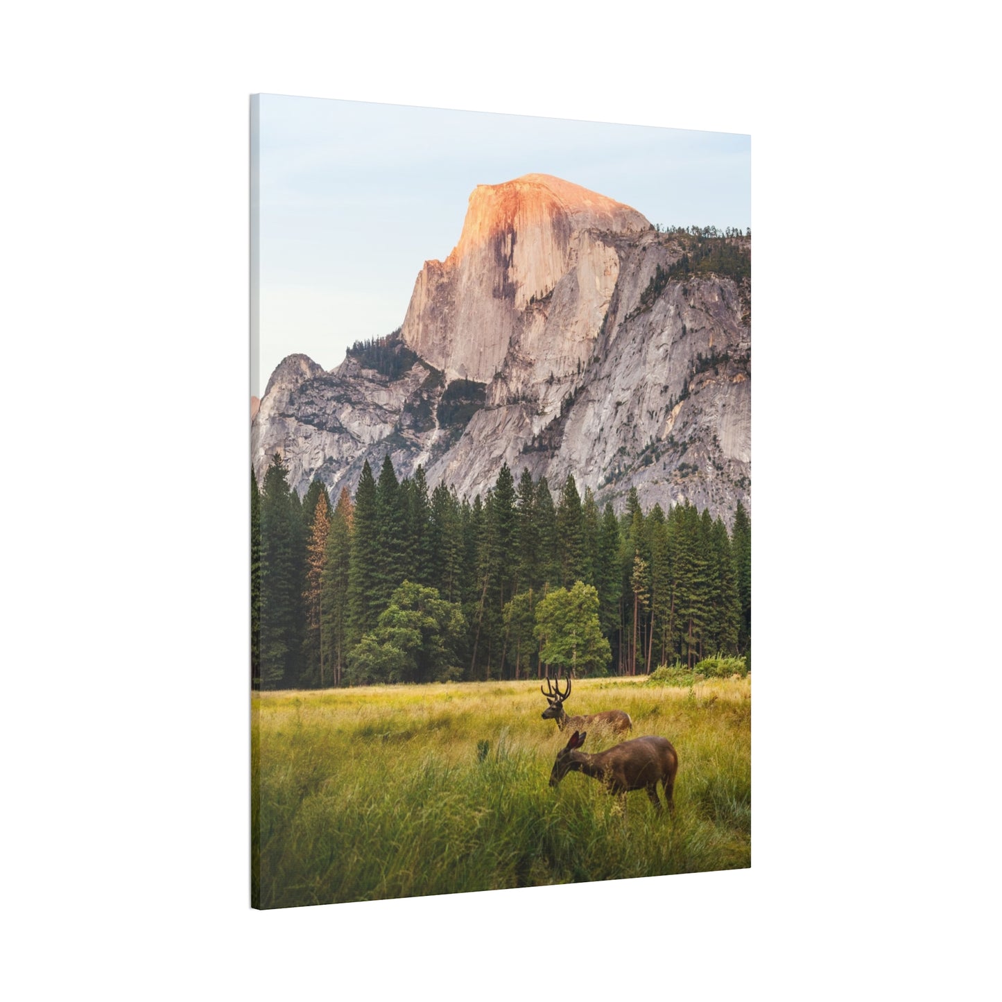 Half Dome Meadow - Canvas Stretched, 0.75"