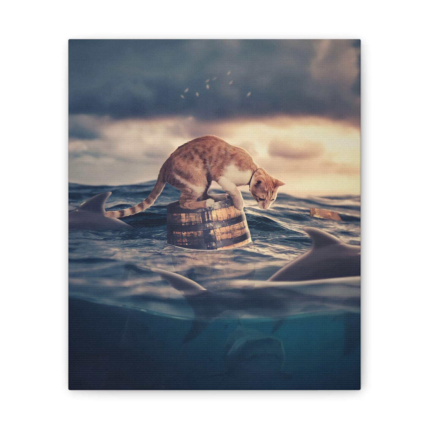 Stranded Cat - Canvas Stretched, 0.75"