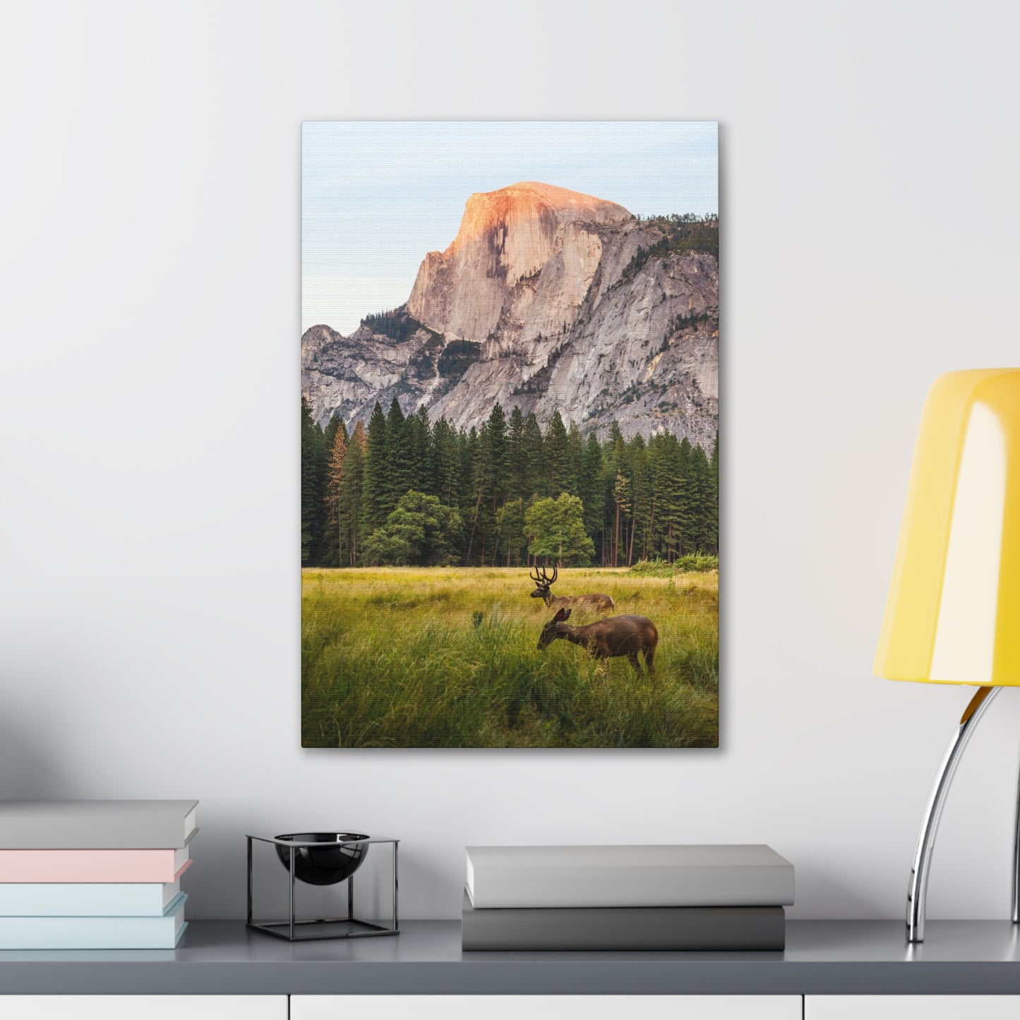 Half Dome Meadow - Canvas Stretched, 0.75"