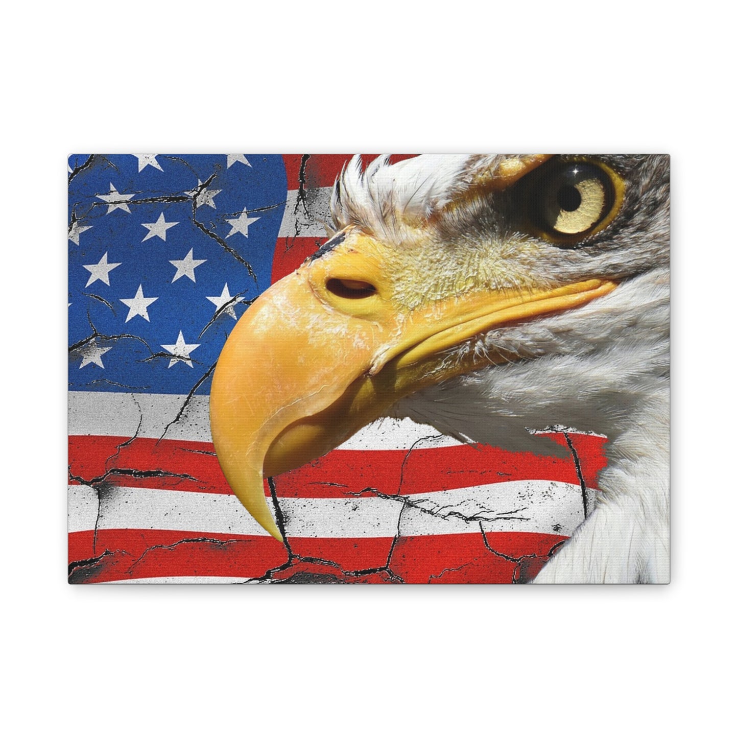 American Eagle - Canvas Stretched, 0.75" -  Military